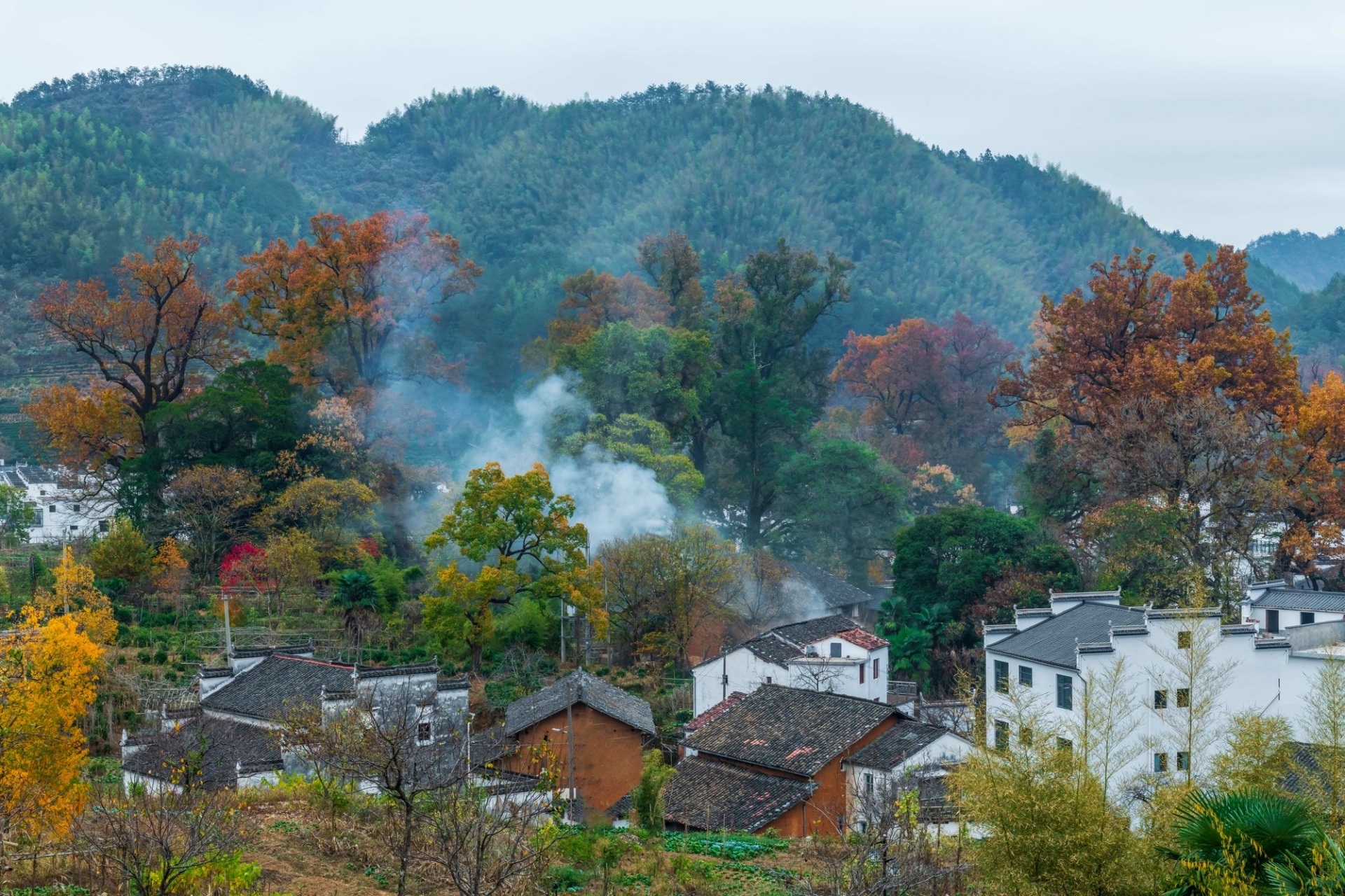 山村美景幽静图片