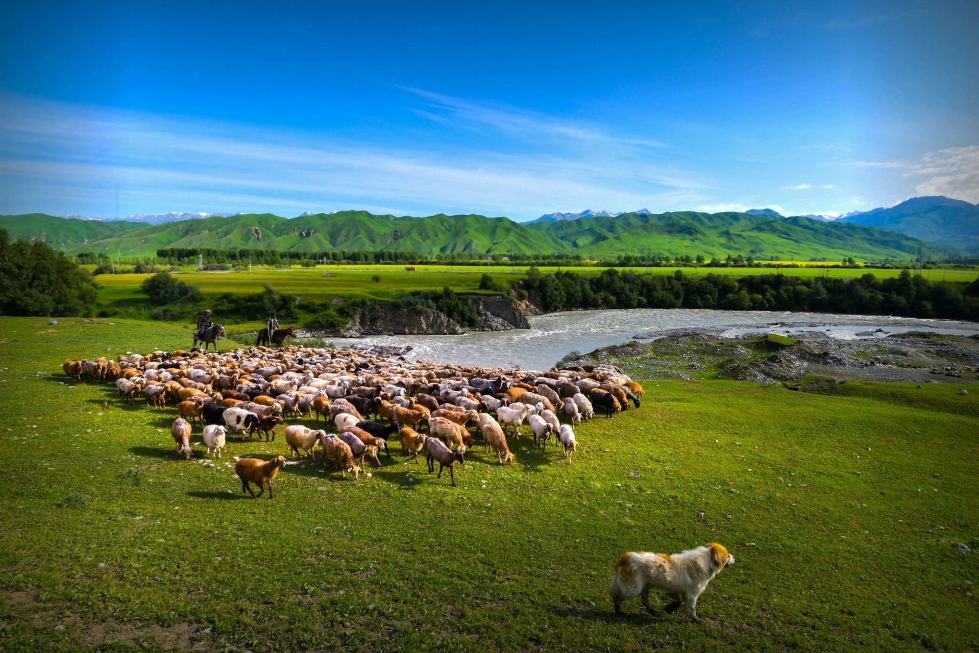 唐布拉草原位于新疆维吾尔自治区伊犁地区尼勒克县境内东部,自尼勒克