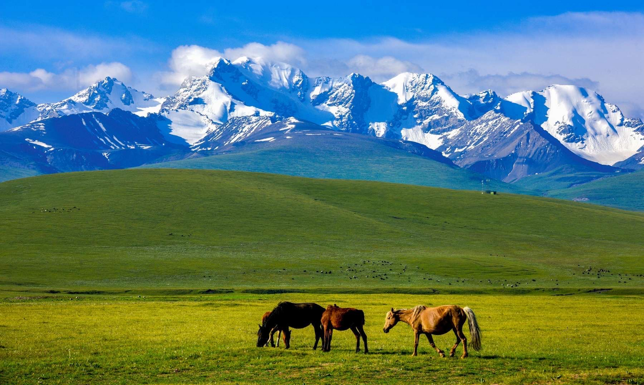 巴音布鲁克草原,位于巴音郭楞蒙古自治州和静县西北,天山山脉中部的