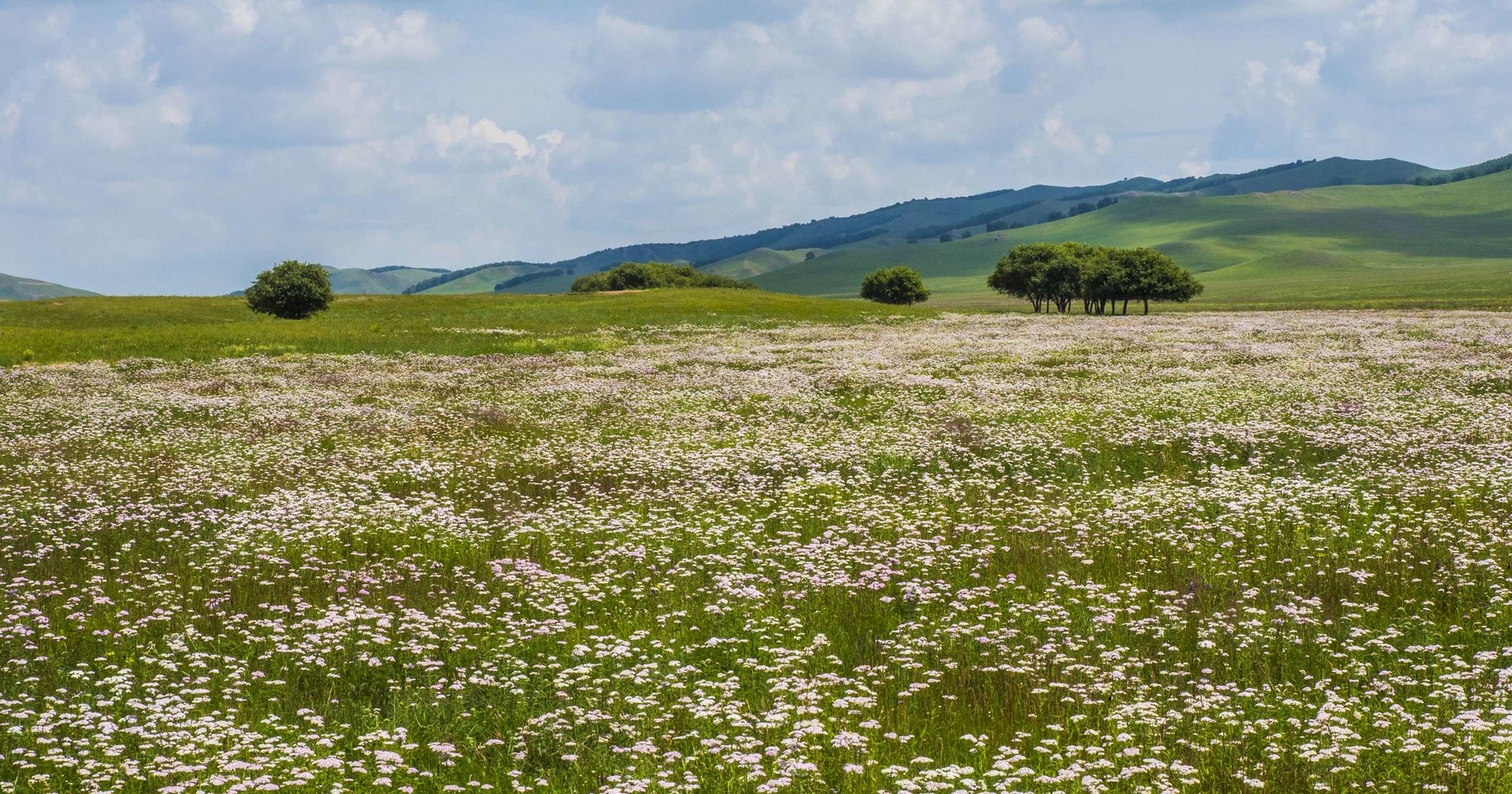 蓝天白云绿草,景色宜人
