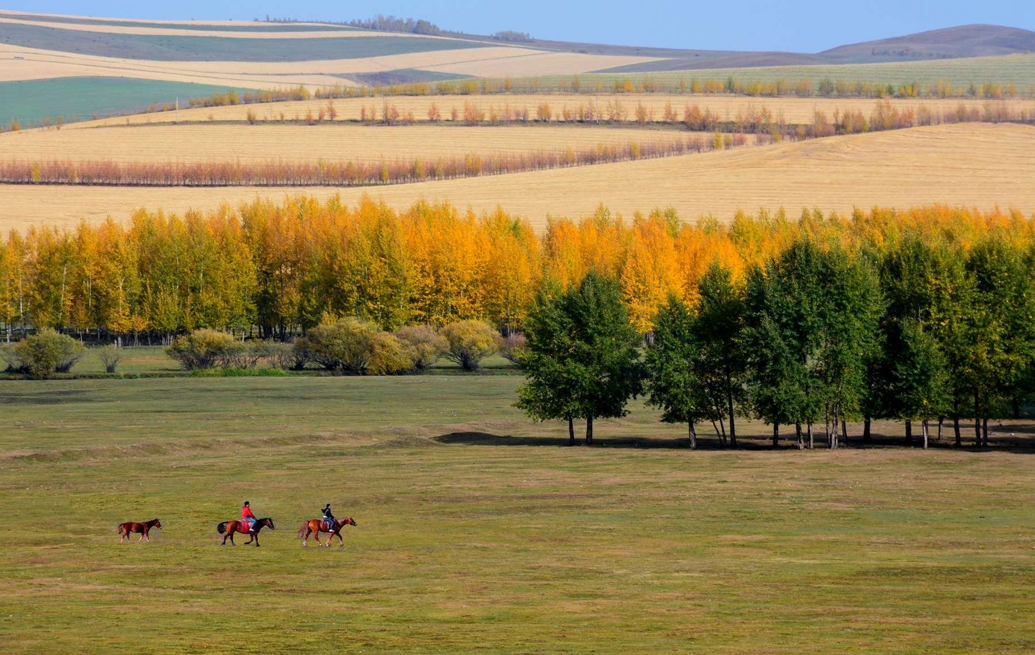 内蒙古呼伦贝尔