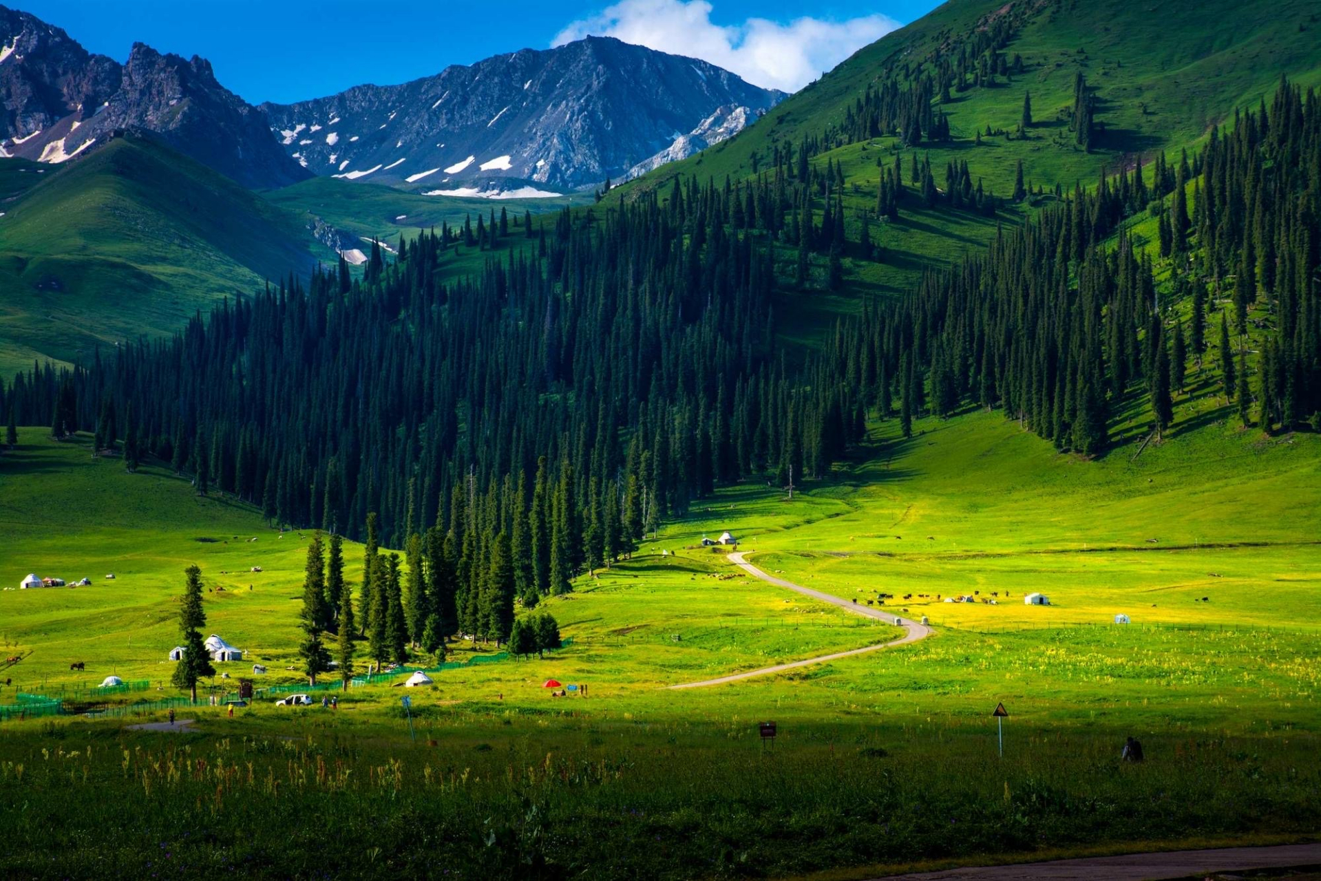 巩乃斯草原,突厥语意为"白阳坡",在新源那拉提镇东部,距伊犁新源县城