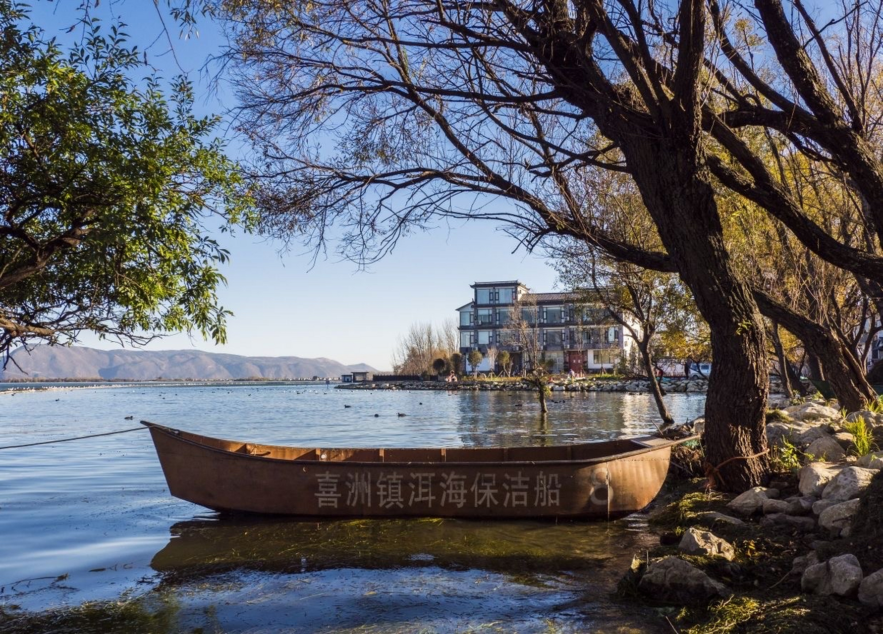 小普陀岛周长只有200多米,全由石灰岩构成.