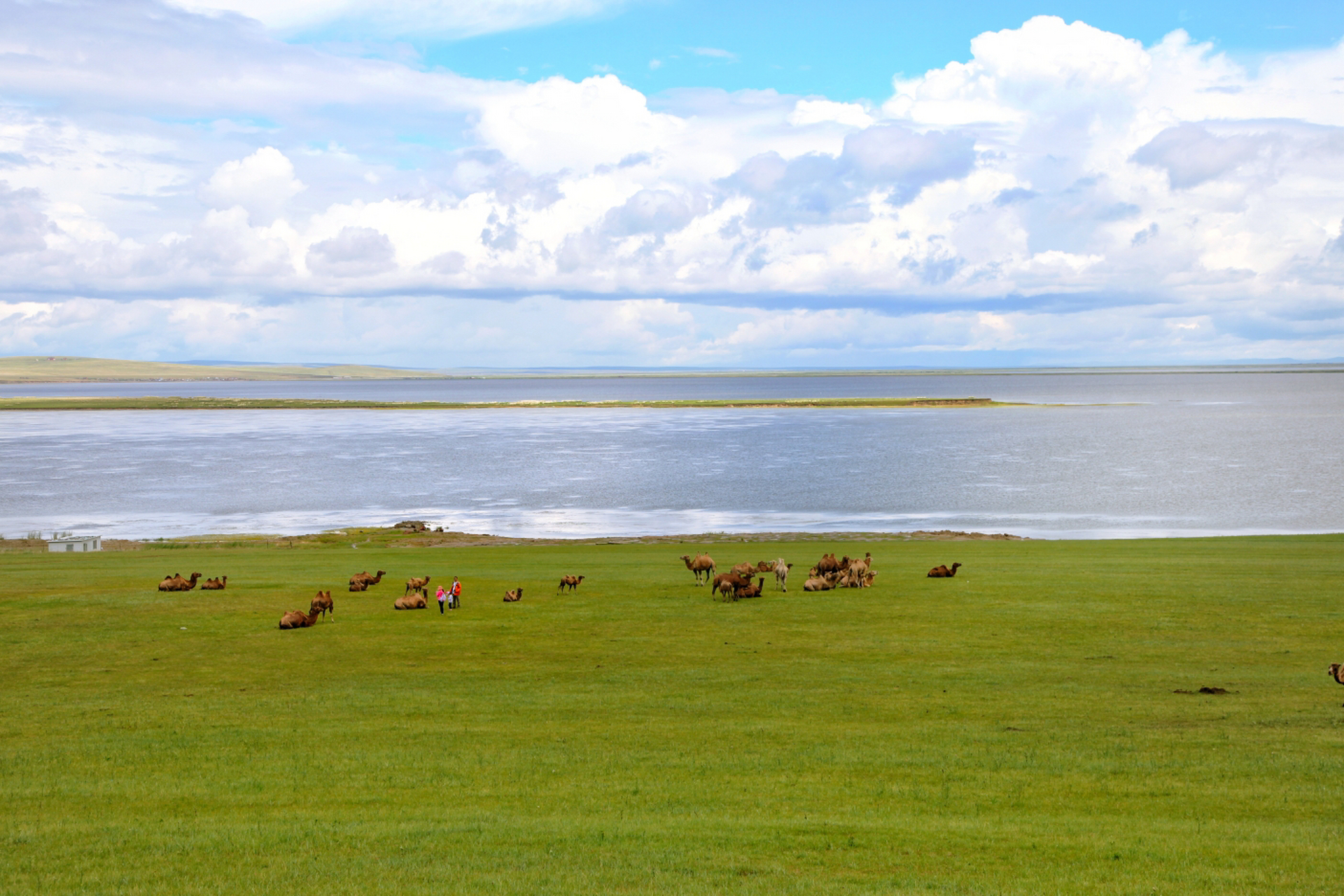 呼和诺尔湖 呼和诺尔湖是呼伦贝尔大草原的著名景点,位于陈巴尔虎旗