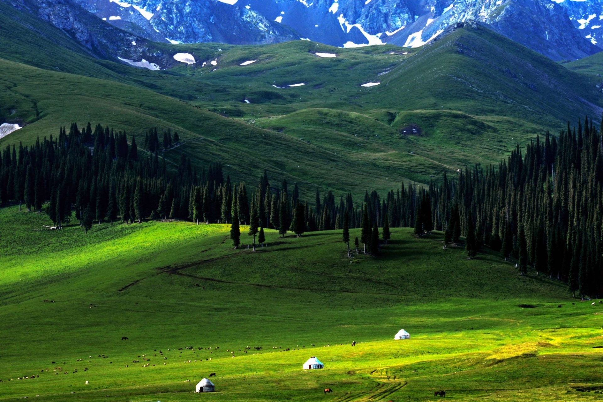 巩乃斯草原,突厥语意为"白阳坡",在新源那拉提镇东部,距伊犁新源县城