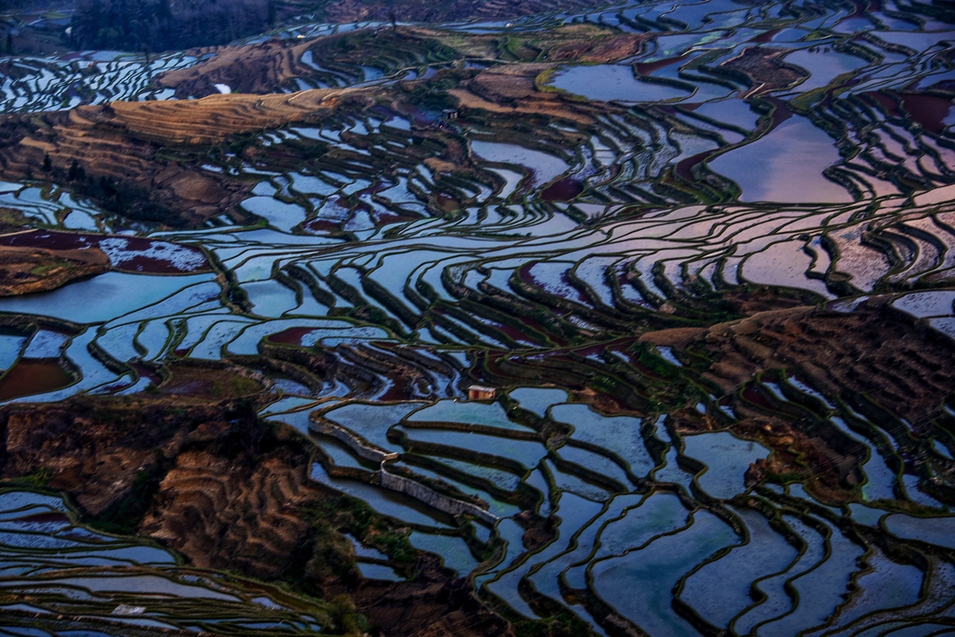 多依树梯田多依树梯田景区位于元阳梯田国家湿地公园及申报世界文化
