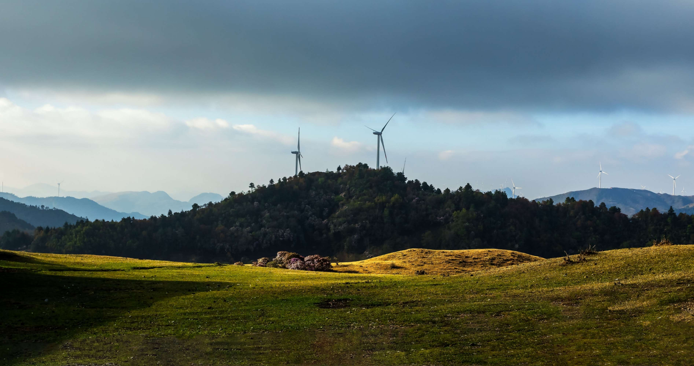 鲁南山杜鹃花海 鲁南山杜鹃花海位于凉山彝族自治州宁南县石梨镇鲁南