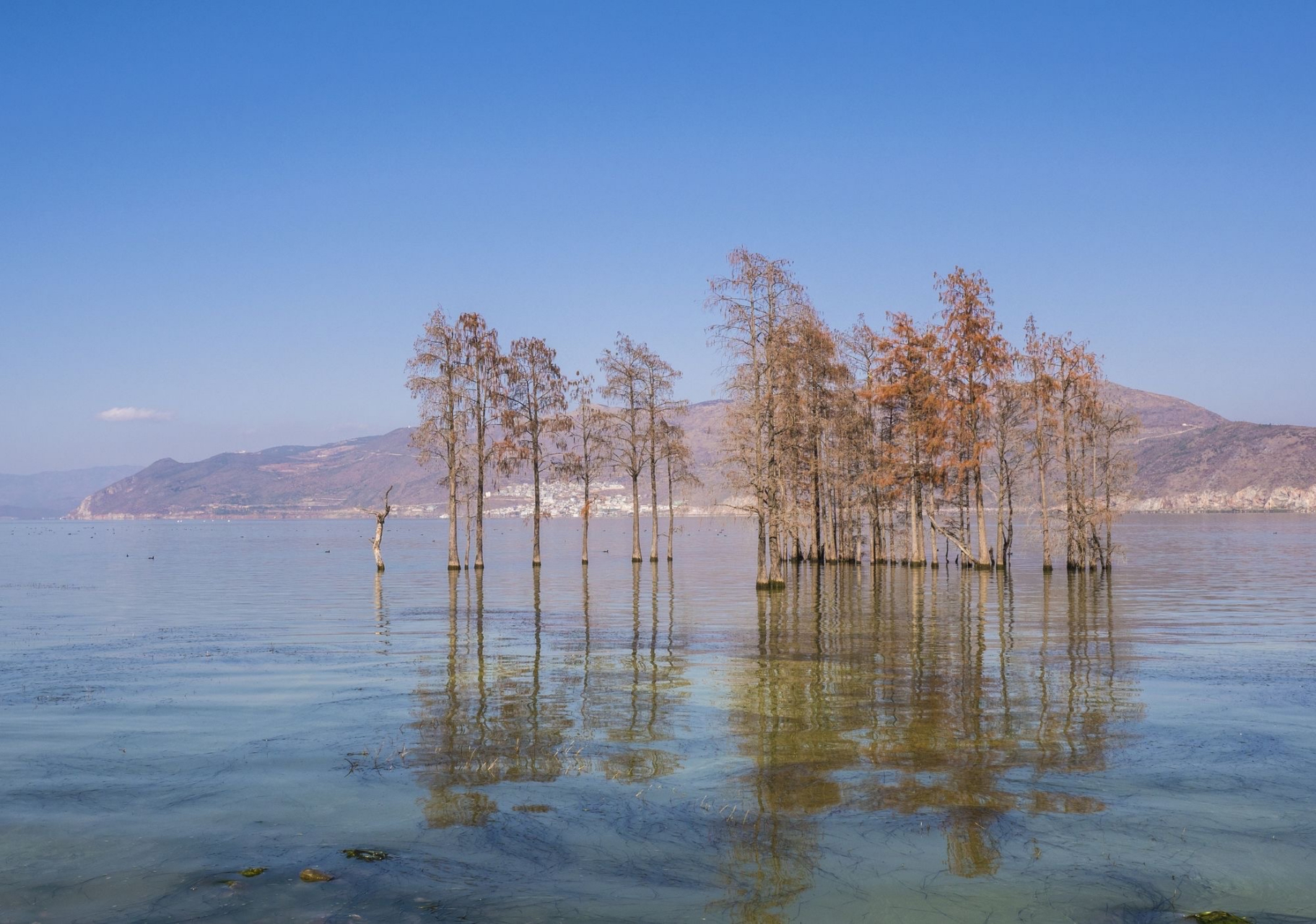 才村 才村地处云南省大理市大理镇的大理古城东边,位于洱海西岸,辖区