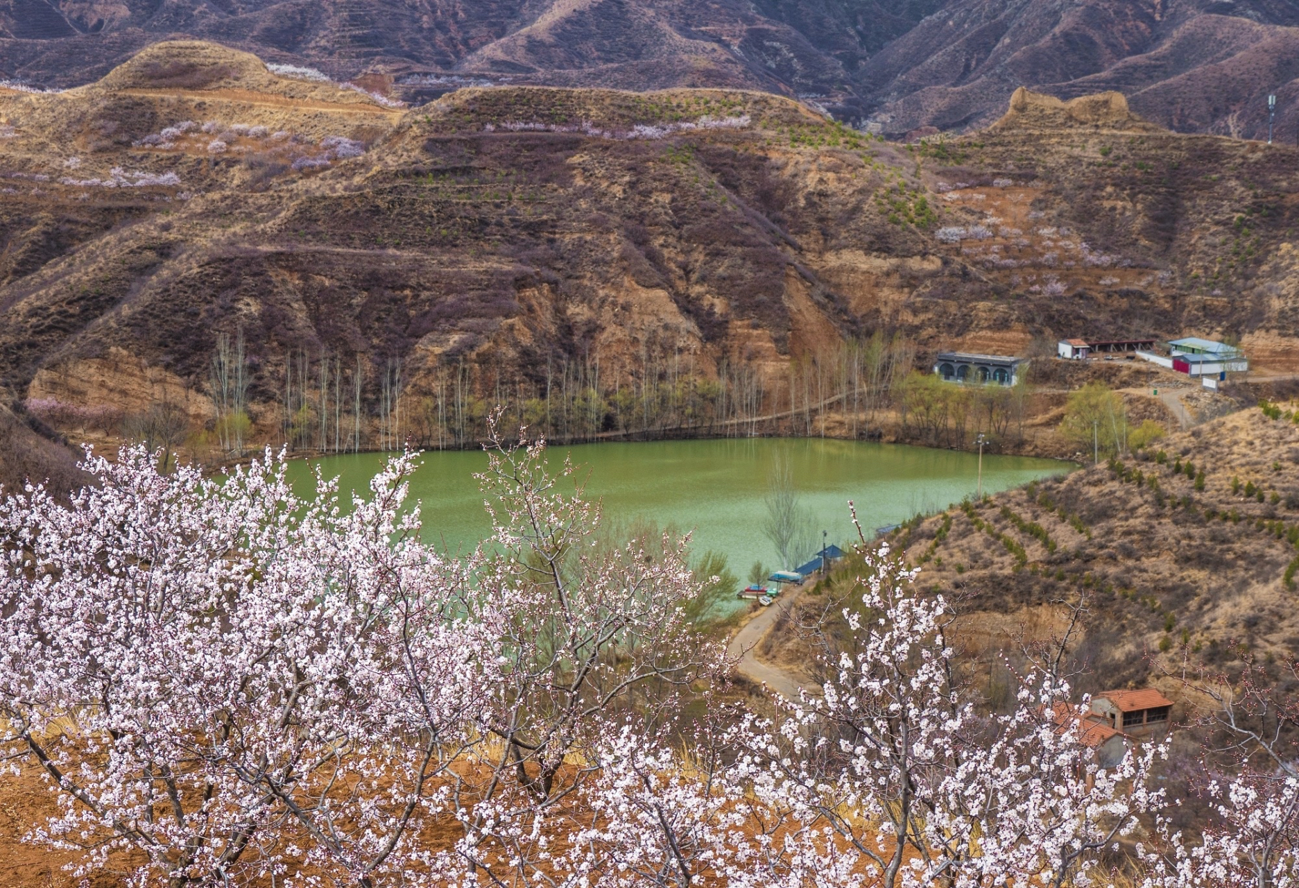 溪源村位于涿鹿县城西南14公里,为武家沟镇一个行政村.