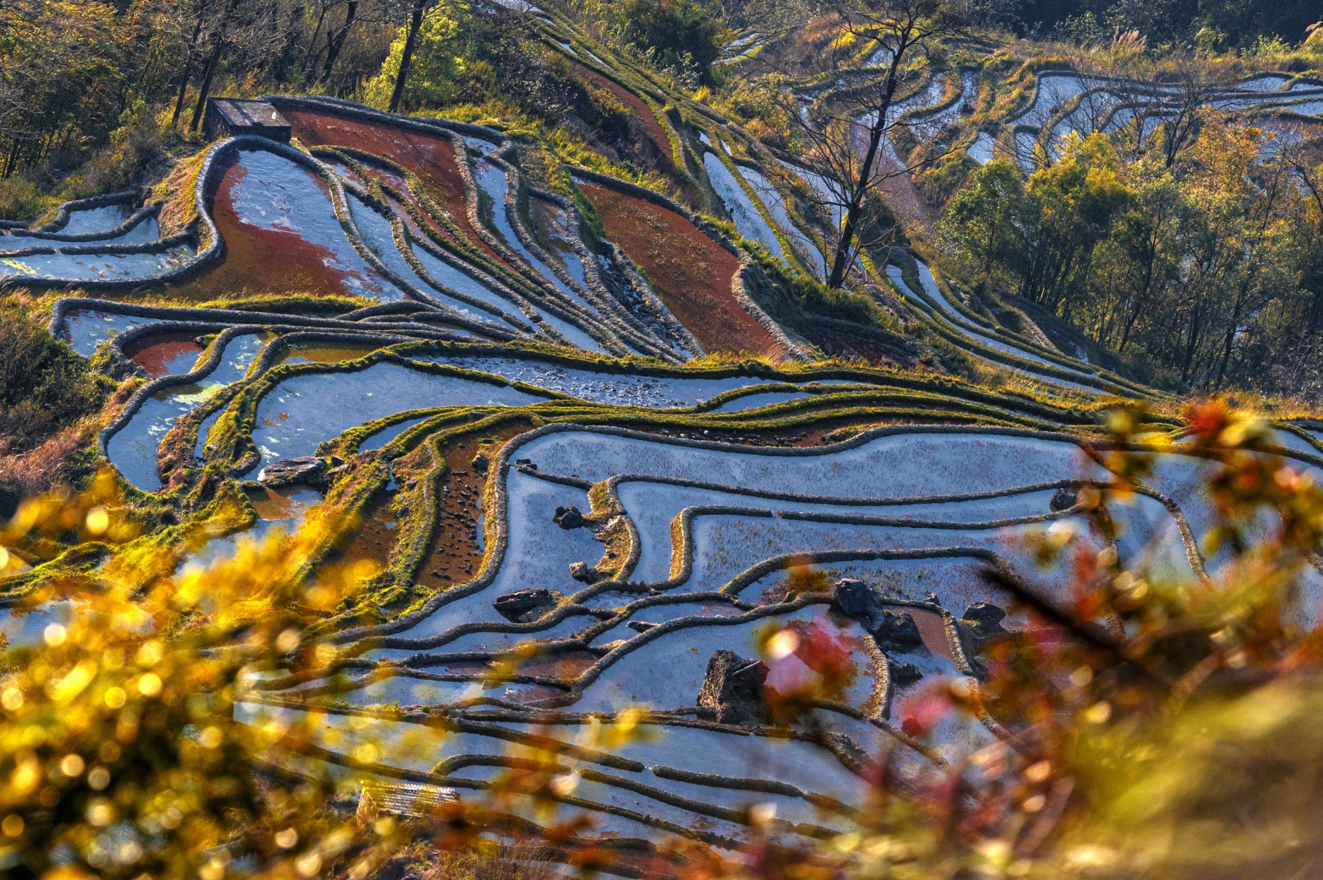 位于云南省元阳县哀牢山南部的元阳梯田是摄影师的天堂,一年四季风景