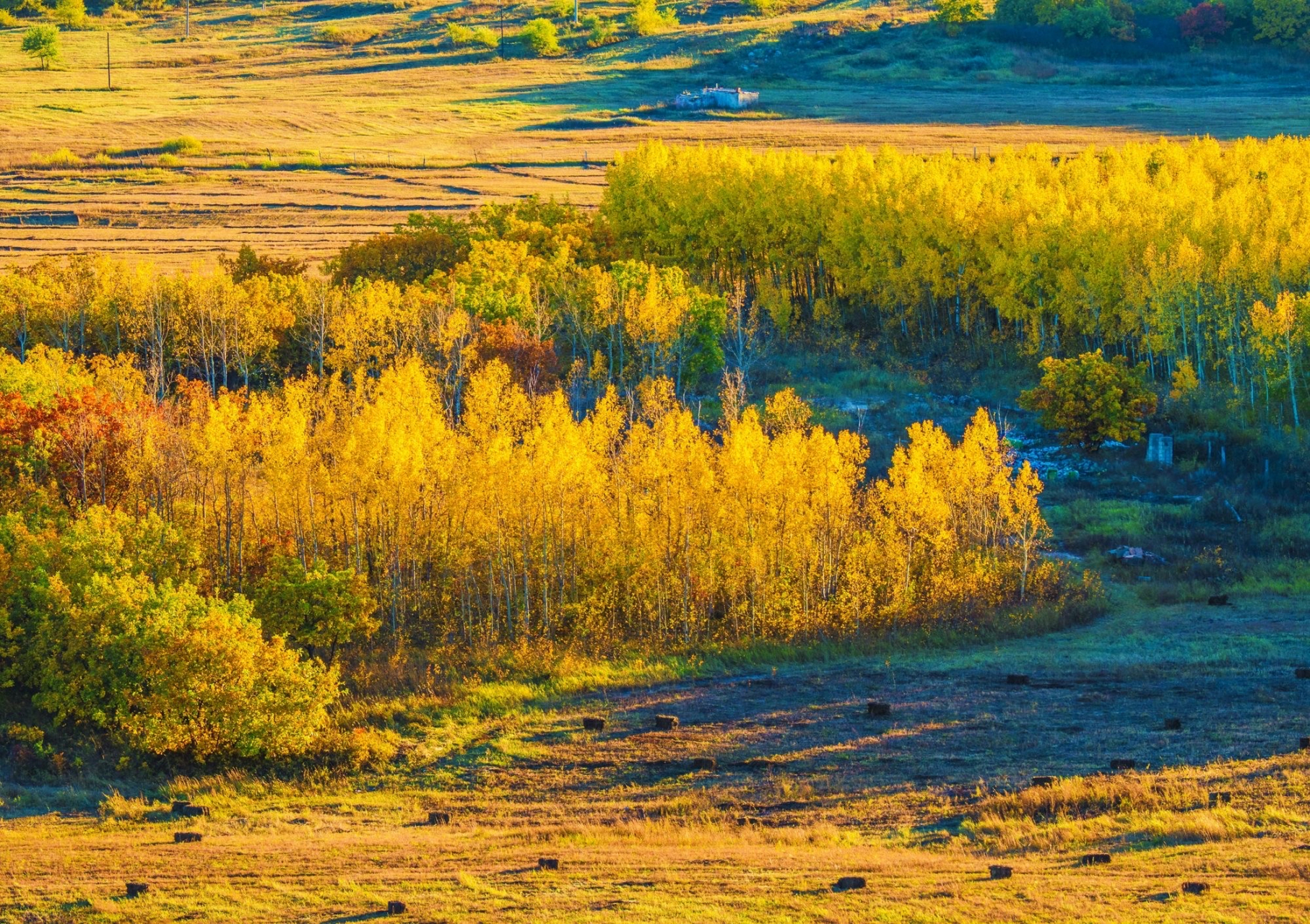 乌拉盖草原因乌拉盖河得名,地处锡林郭勒盟,兴安盟和通辽市三盟誓的