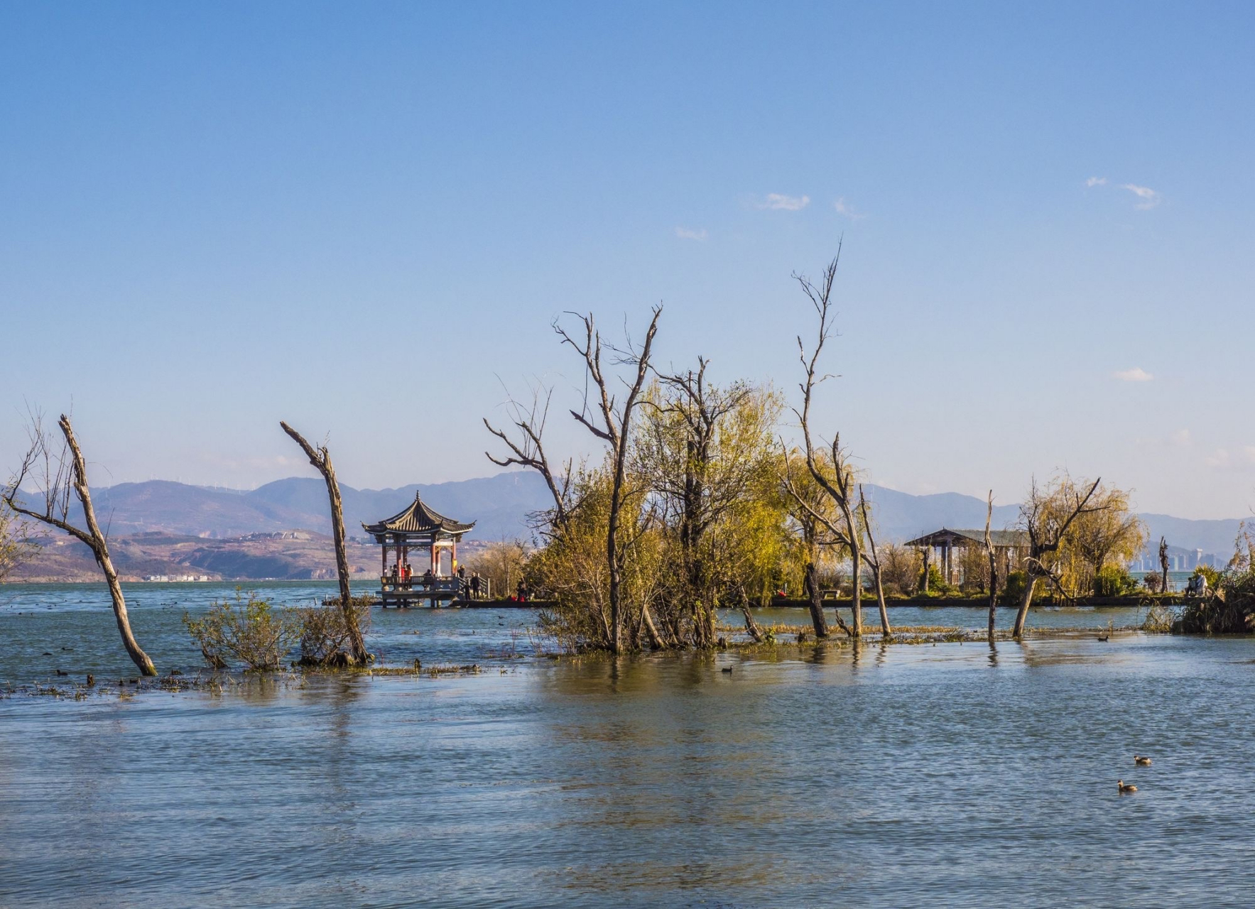 才村 才村地处云南省大理市大理镇的大理古城东边,位于洱海西岸,辖区