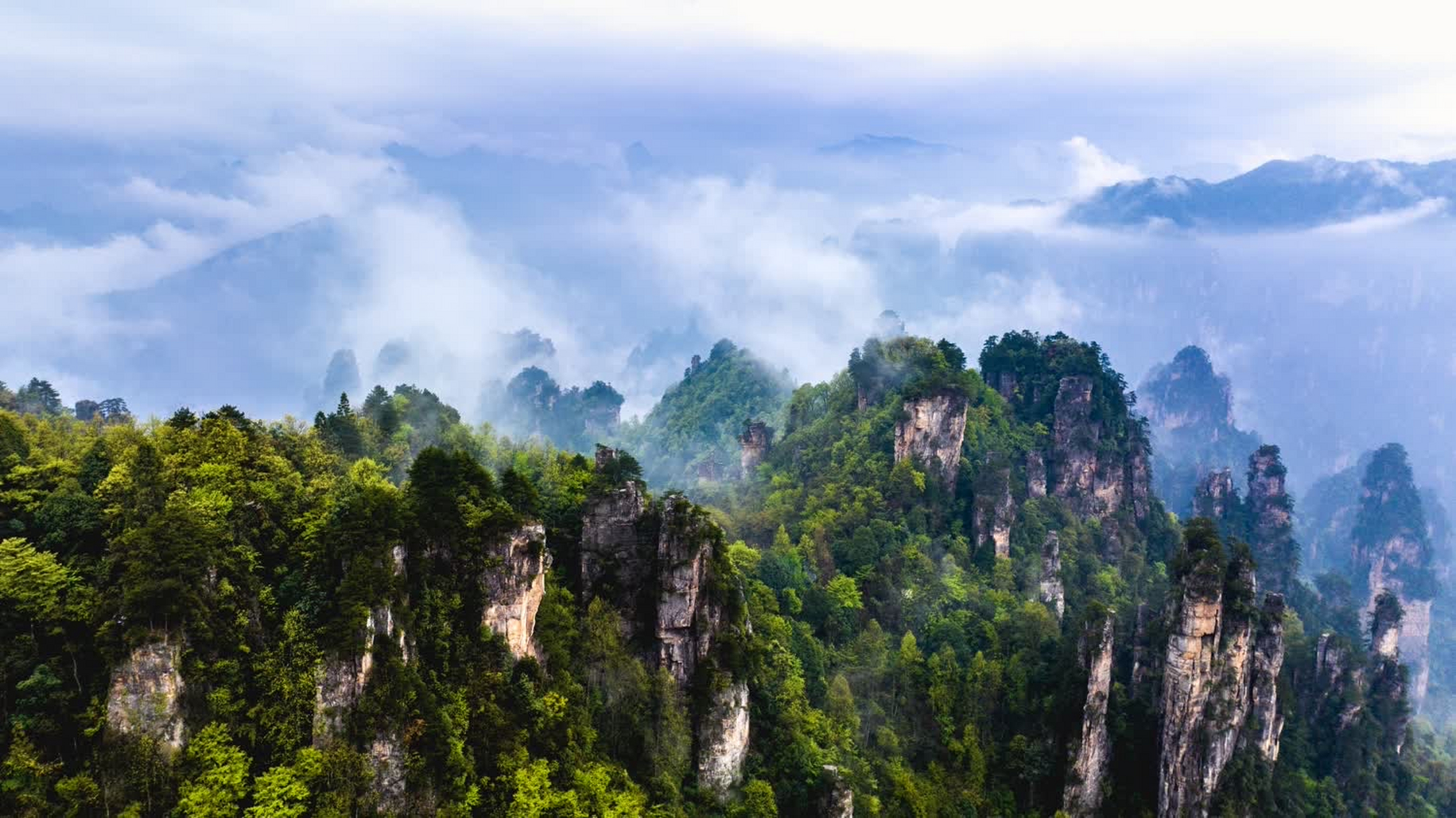 景区为武陵源风景名胜区,它由张家界国家森林公园,天子山自然保护区