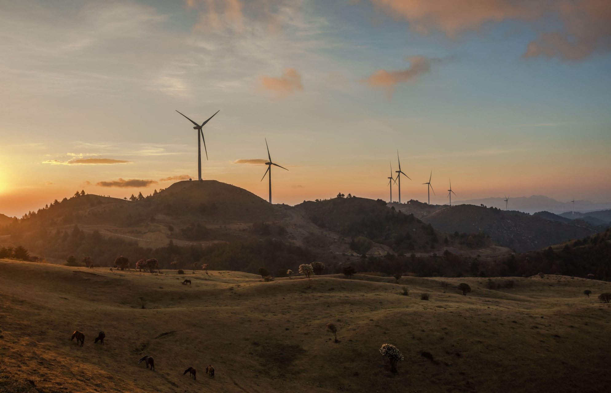 鲁南山杜鹃花海 鲁南山杜鹃花海位于凉山彝族自治州宁南县石梨镇鲁南