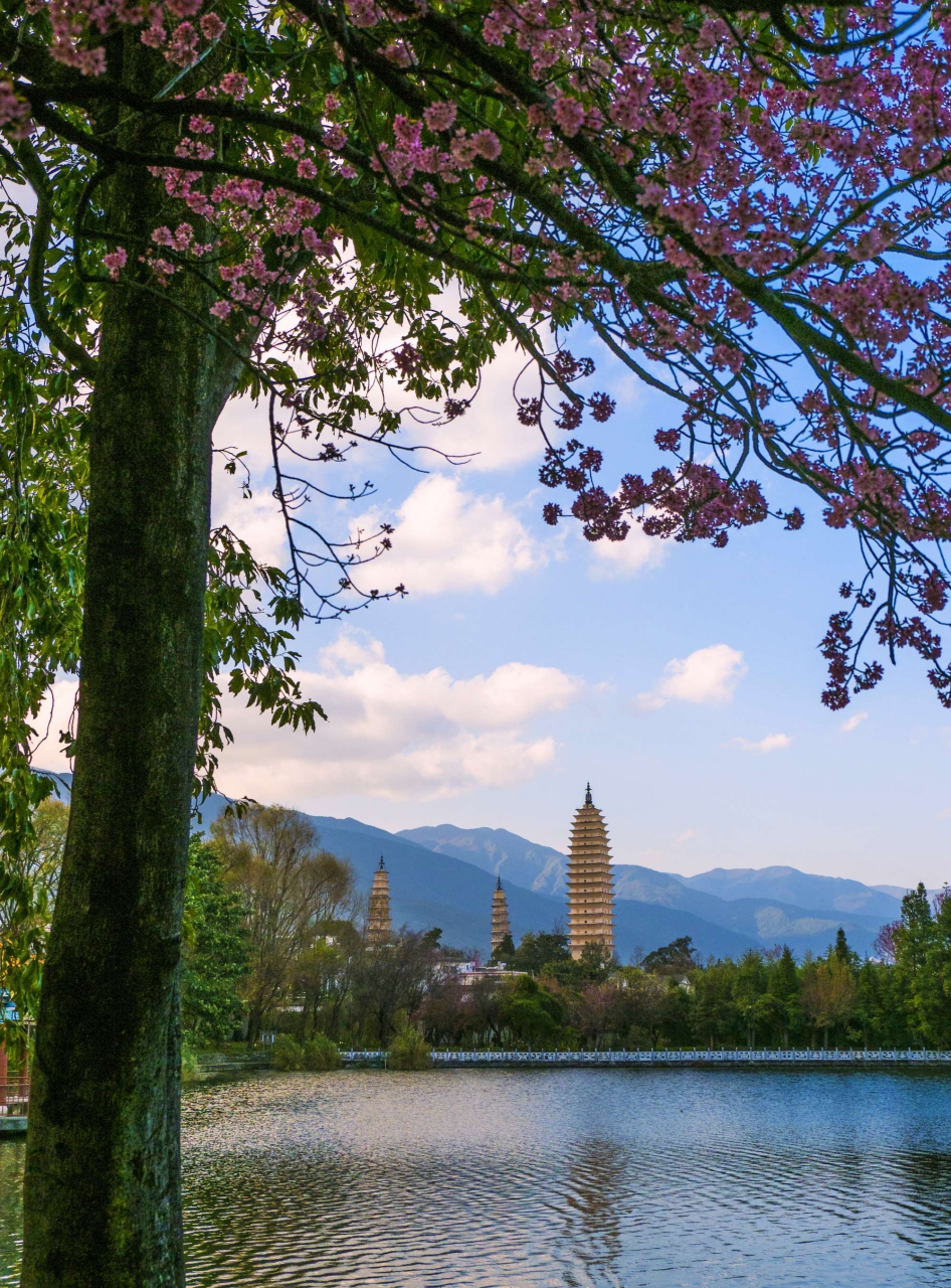 三塔倒影公园 三塔倒影公园位于崇圣寺三塔以南1千米处,公园坐北朝南,