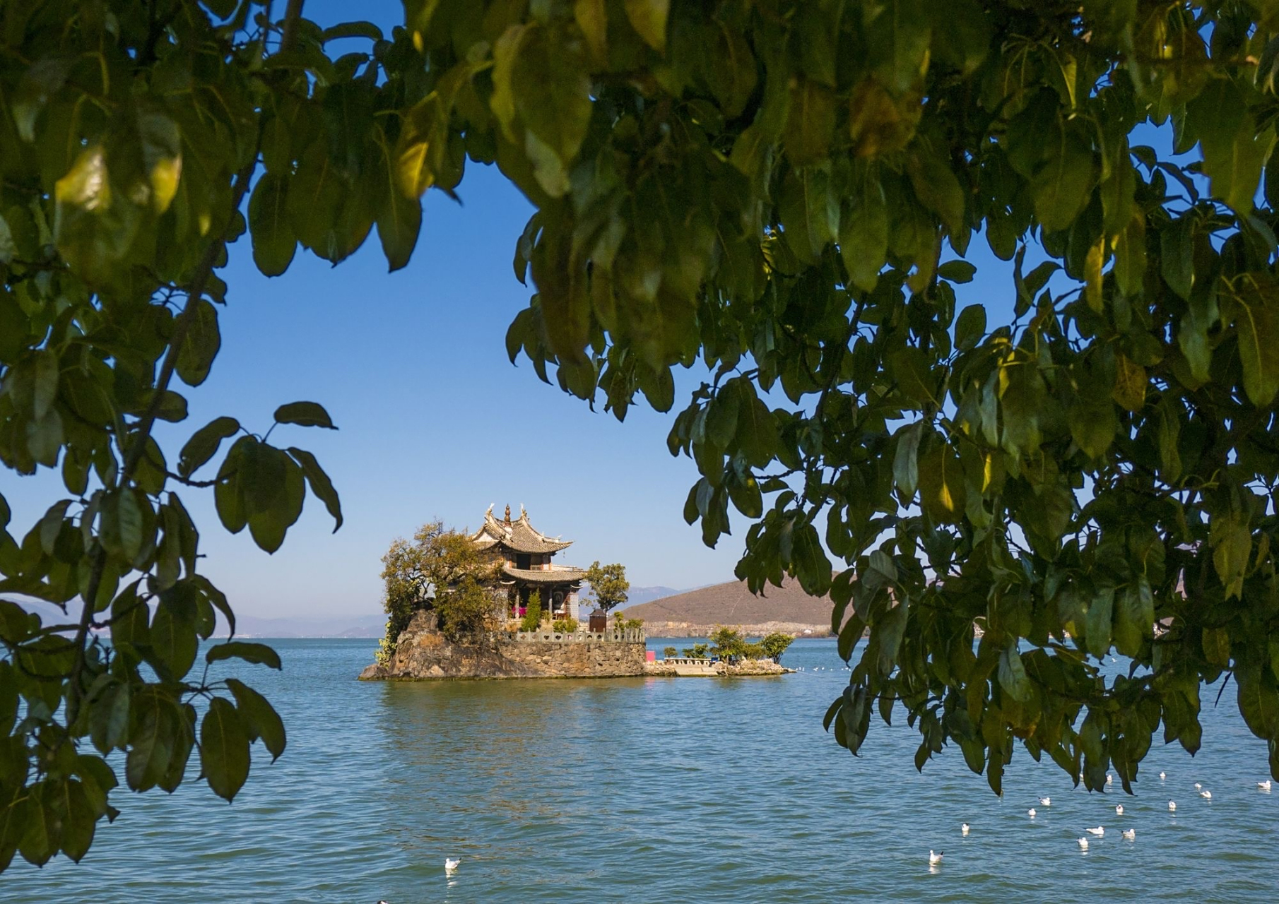 小普陀岛周长只有200多米,全由石灰岩构成.