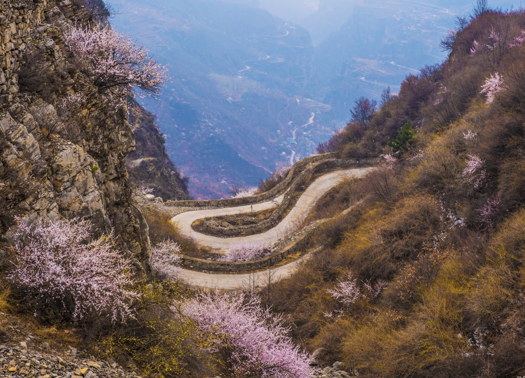 大脑村 大脑村是林州市石板岩镇的一个行政村,地处南太行腹地.