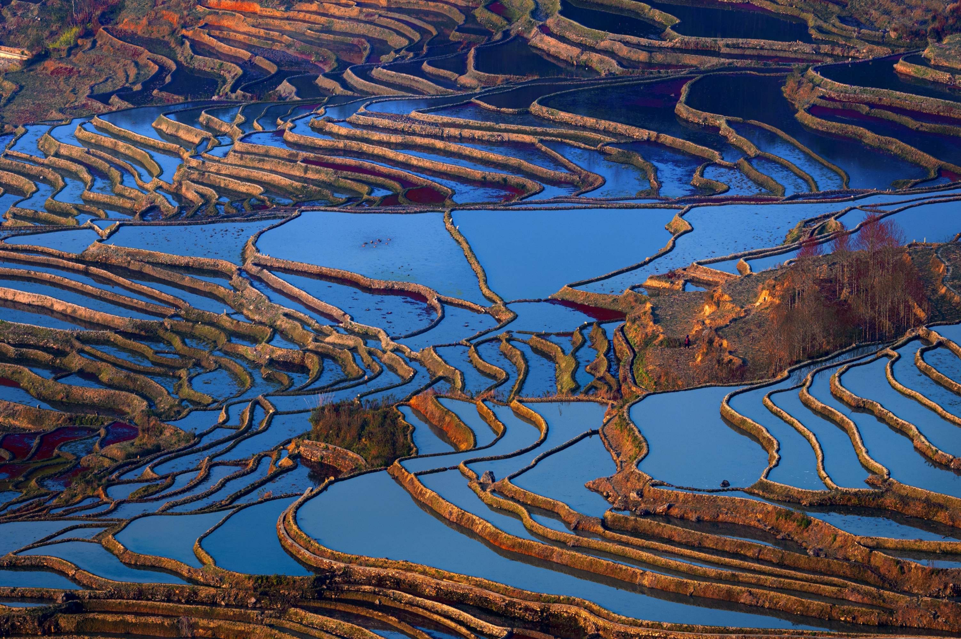 云南红河州,七彩元阳梯田