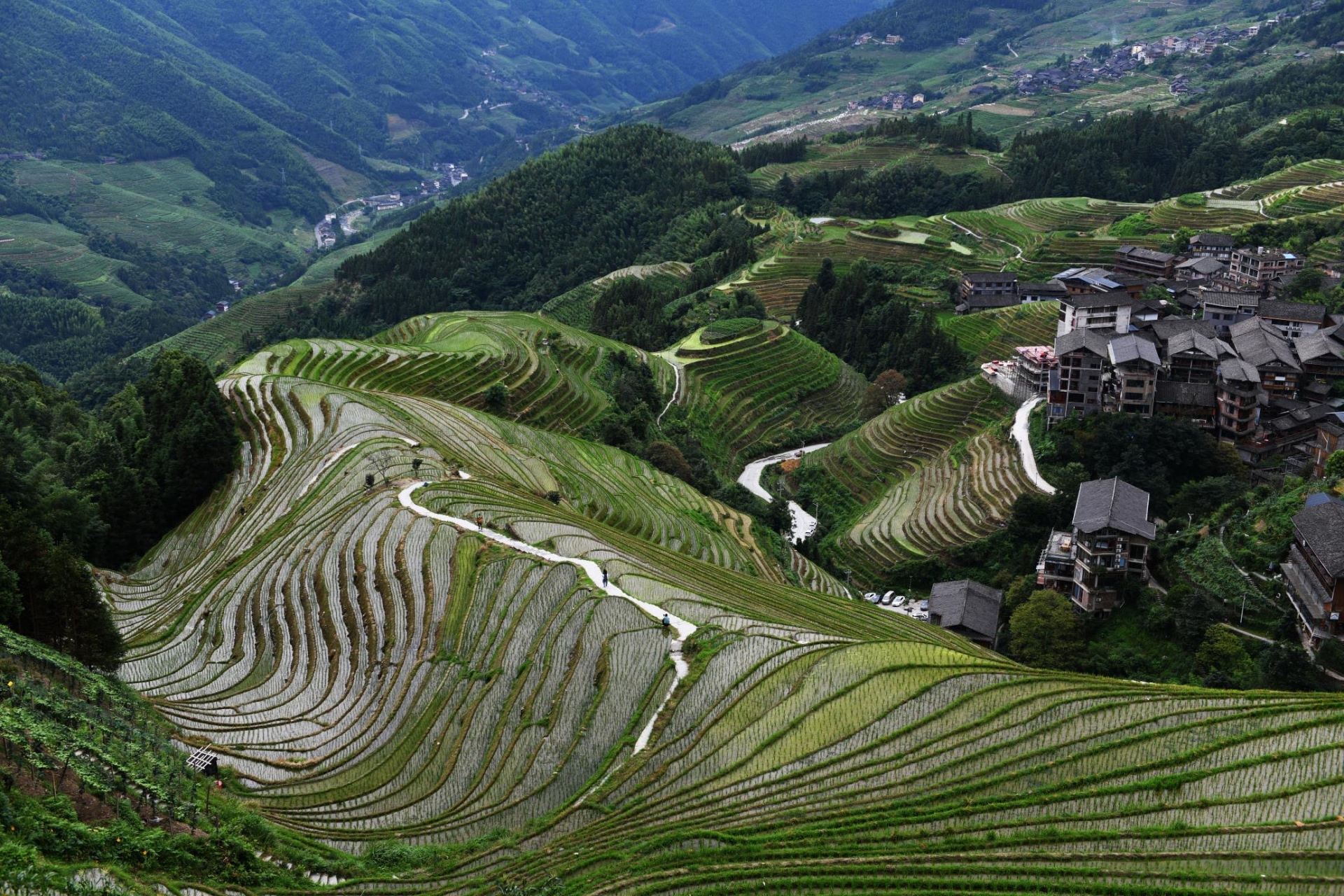 九龙五虎观景点图片