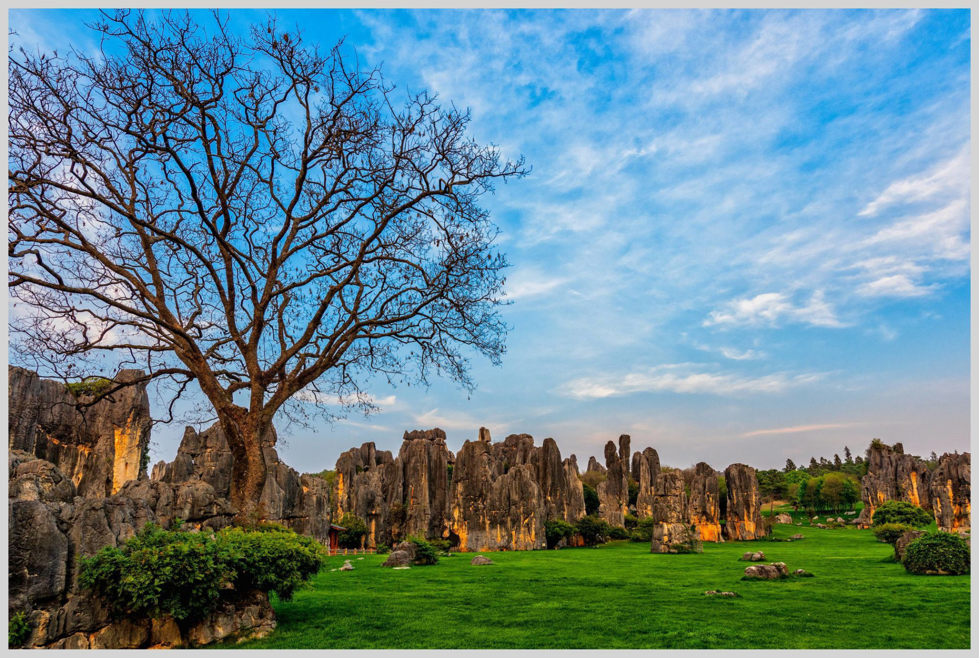 到云南就想打卡石林风景区,看看大自然的鬼斧神工.