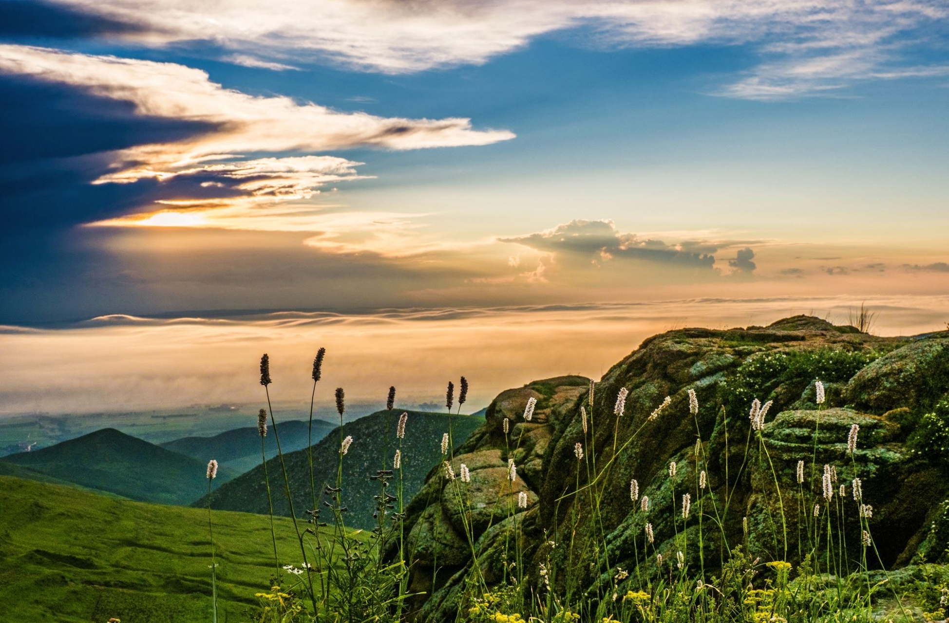 大青山国家森林公园