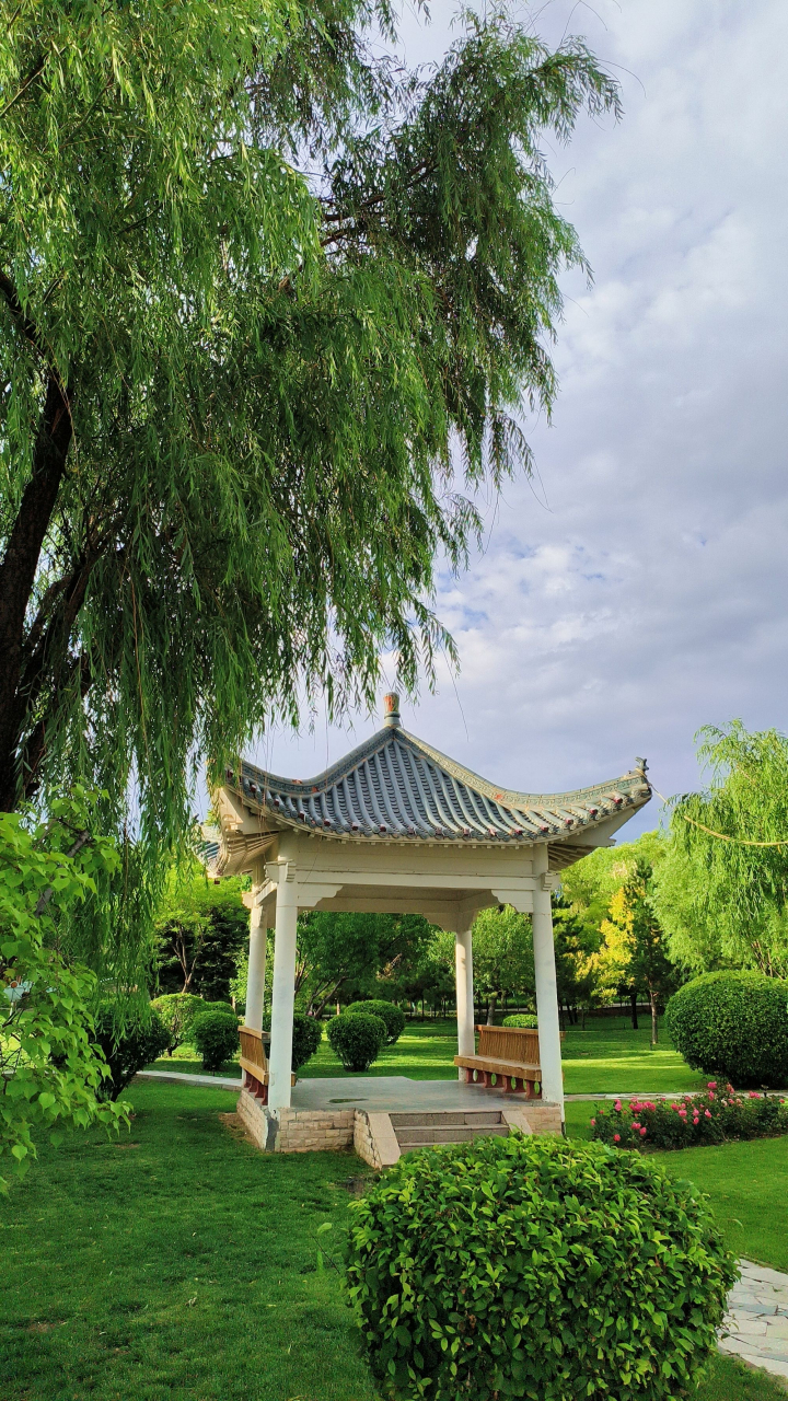 鄂尔多斯东胜铁西公园是一个下沉式公园,周围没有围墙,完全的敞开式