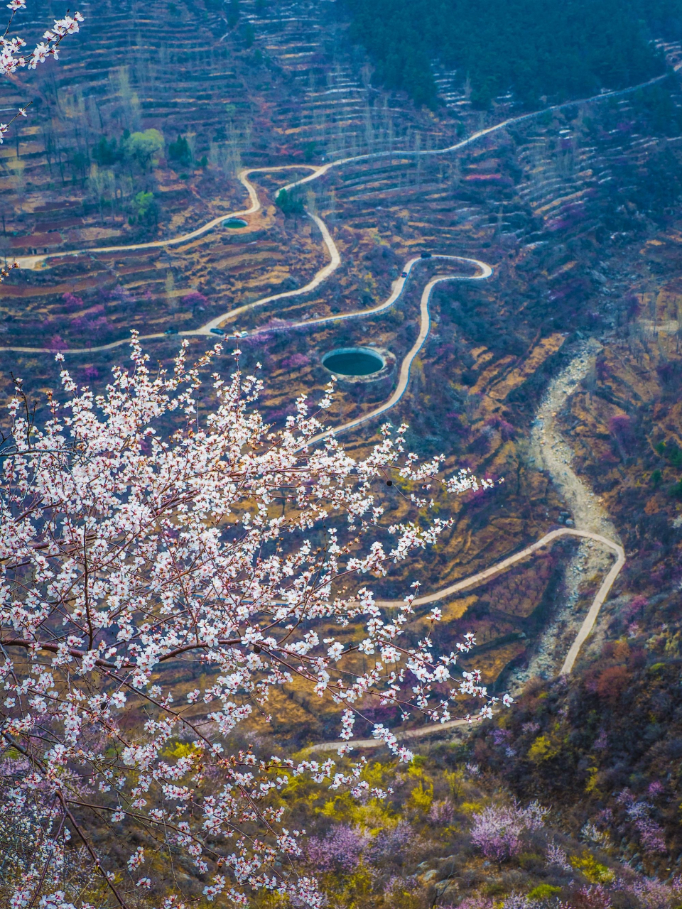 大脑村 大脑村是林州市石板岩镇的一个行政村,地处南太行腹地.