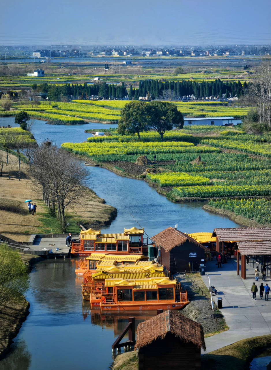 千垛油菜花景區位於江蘇泰州興化市,以千島樣式形成的垛田景觀享譽於