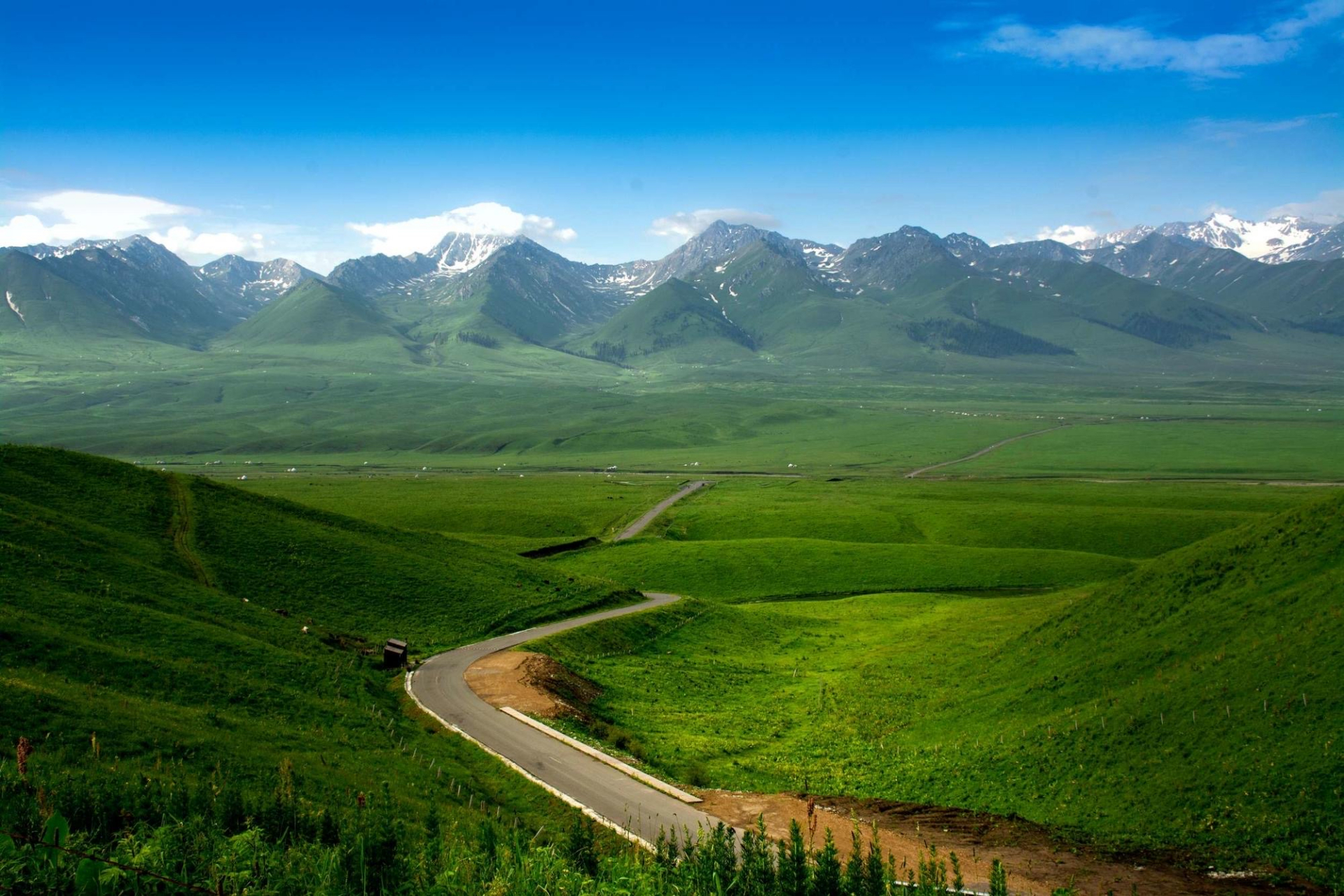 巩乃斯草原,突厥语意为"白阳坡",在新源那拉提镇东部,距伊犁新源县城