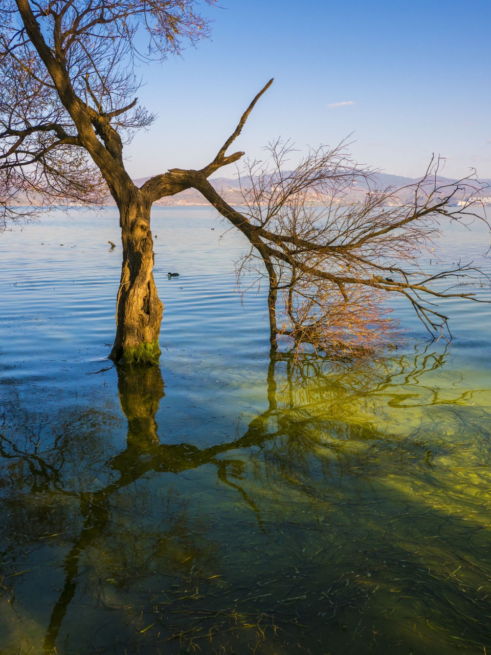 龙龛古渡   大理洱海边上,有一个美丽而又神奇的地方,那就是龙龛码头.