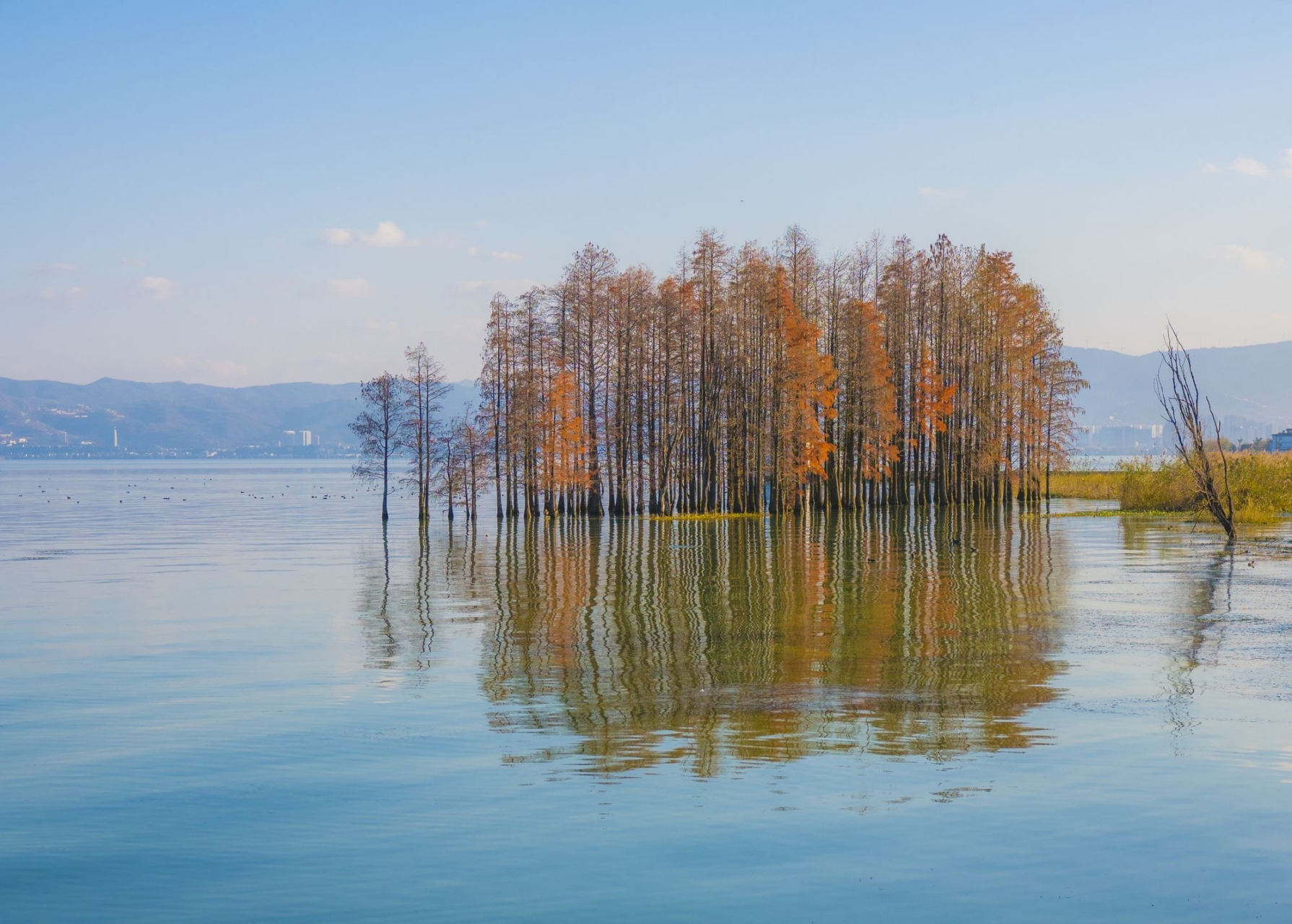 龙龛古渡   大理洱海边上,有一个美丽而又神奇的地方,那就是龙龛码头.