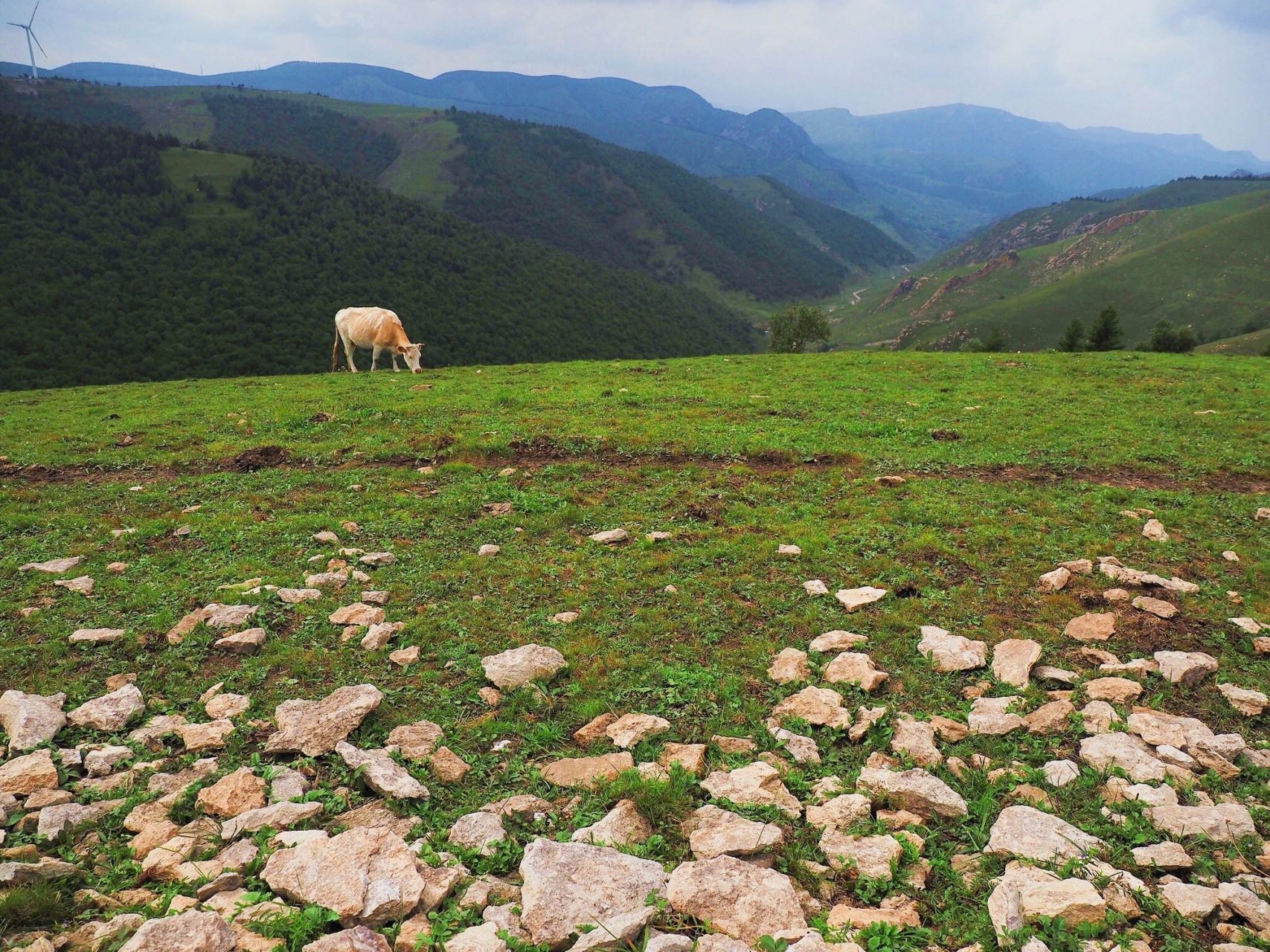 蔚县茶山 020202关于茶山村有许多动人的故事,这些故事给这个