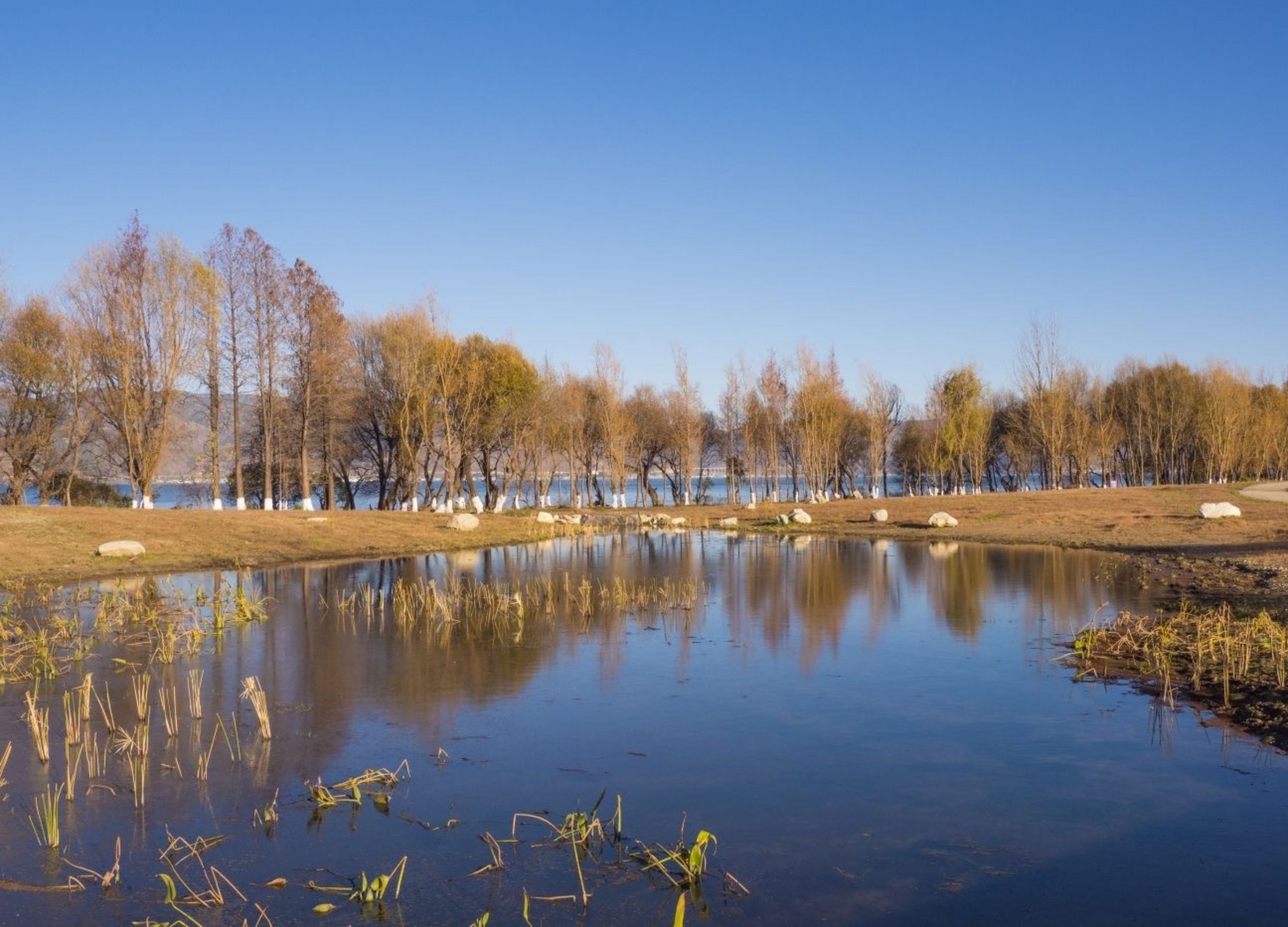 小普陀岛周长只有200多米,全由石灰岩构成.