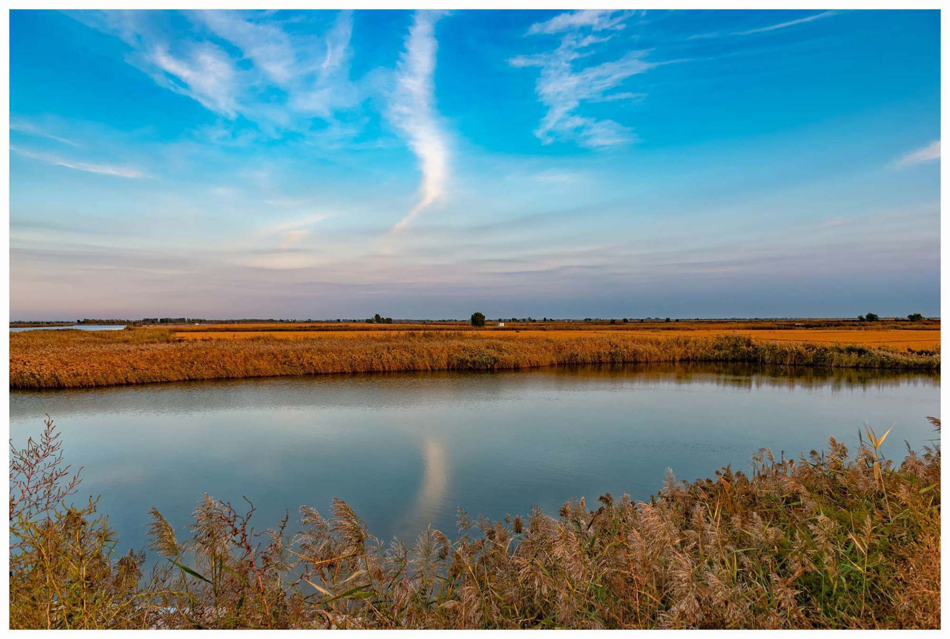 《苇海寻踪》红海滩分布于辽宁省盘锦市境内,属于湿地生态旅游景区,它