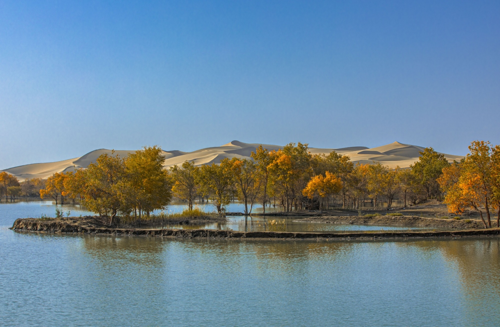 秋日的尉犁县三十三团葫芦岛之行,放眼望去尽是绚丽斑斓的色彩,金色