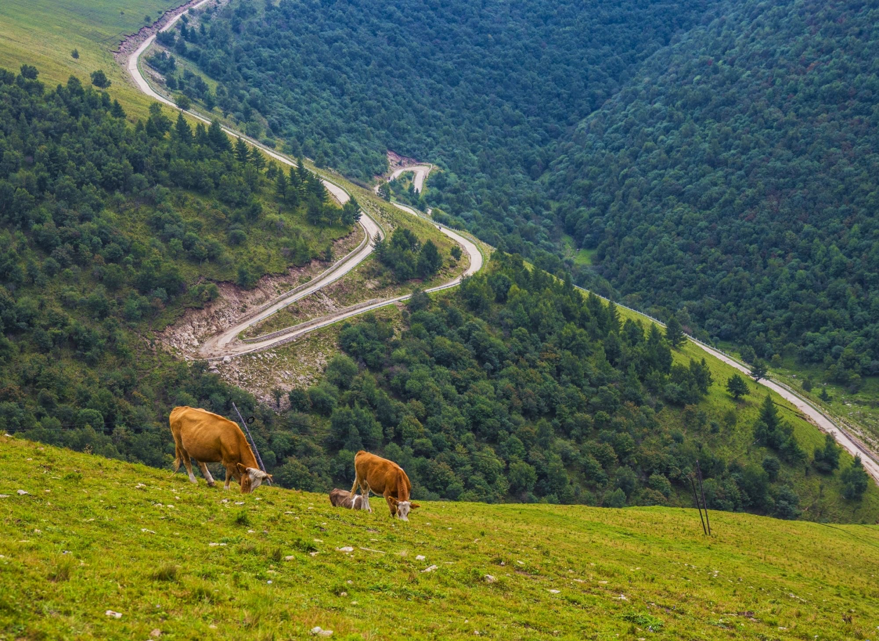 蔚县茶山 020202关于茶山村有许多动人的故事,这些故事给这个