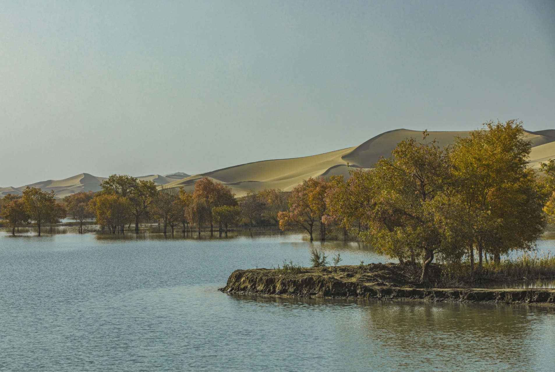 秋日的尉犁县三十三团葫芦岛之行,放眼望去尽是绚丽斑斓的色彩,金色