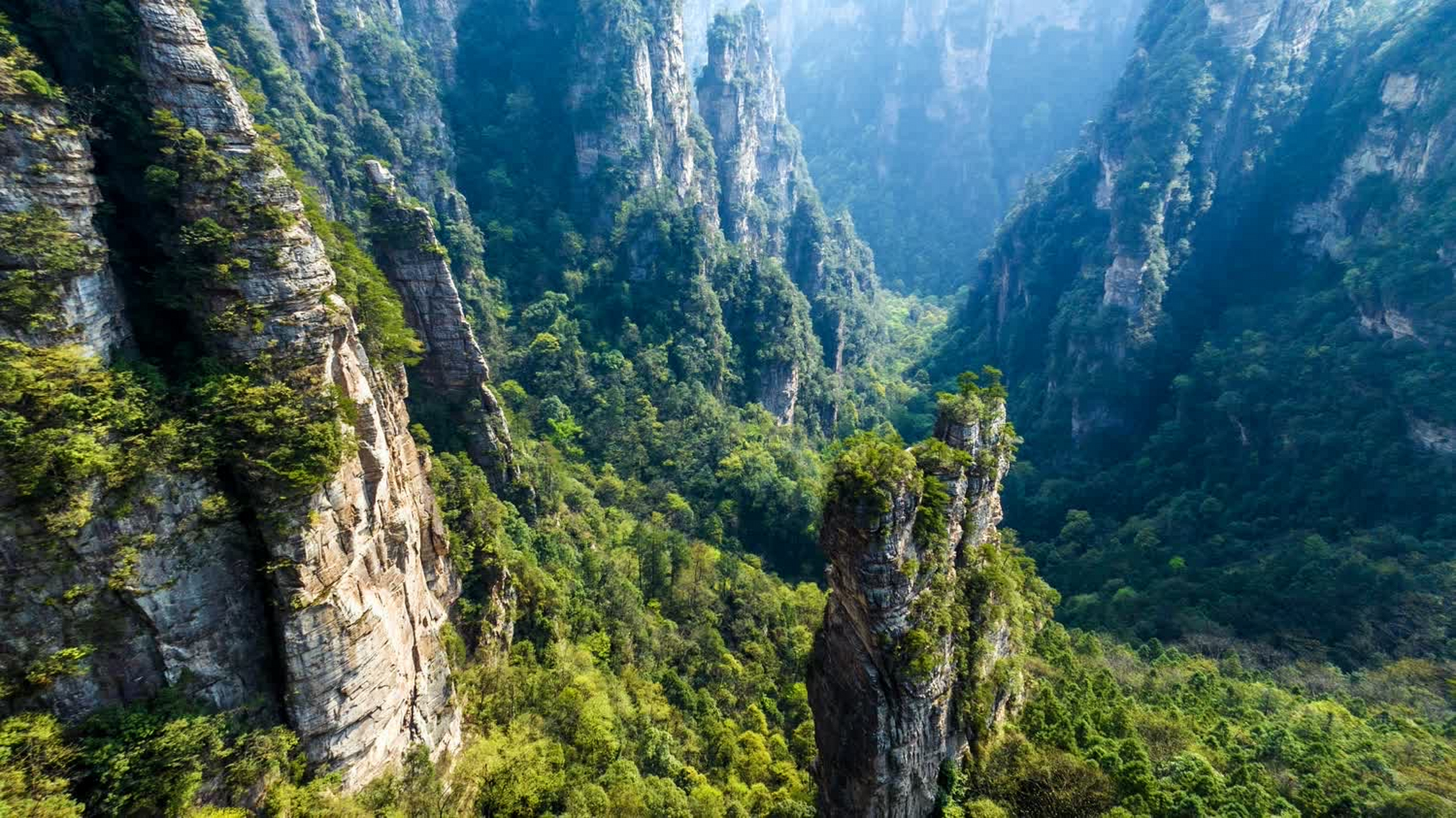 它由张家界国家森林公园,天子山自然保护区,索溪峪自然保护区,杨家界
