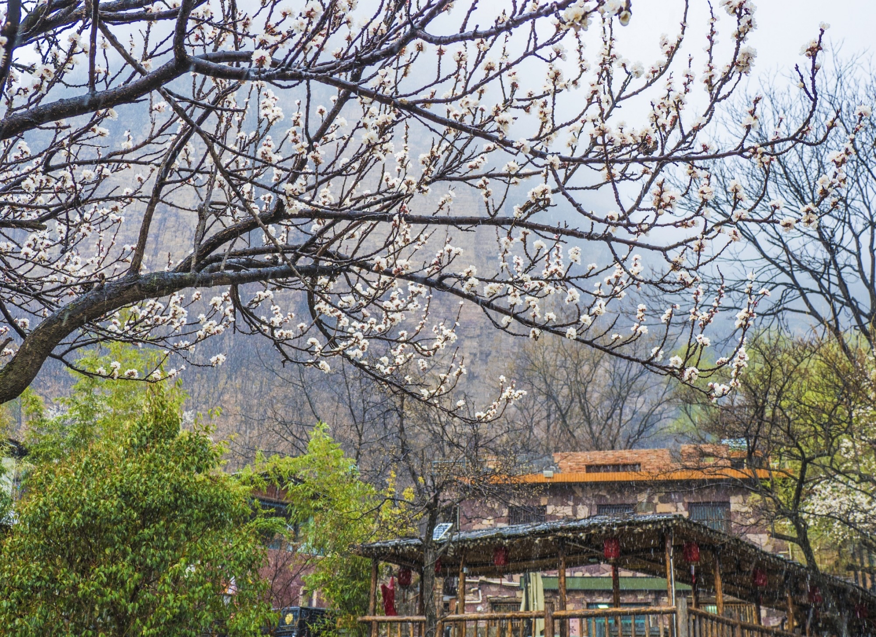 高家台村写生基地可同时容纳学生2000人,基地区位优势互补,相映成辉