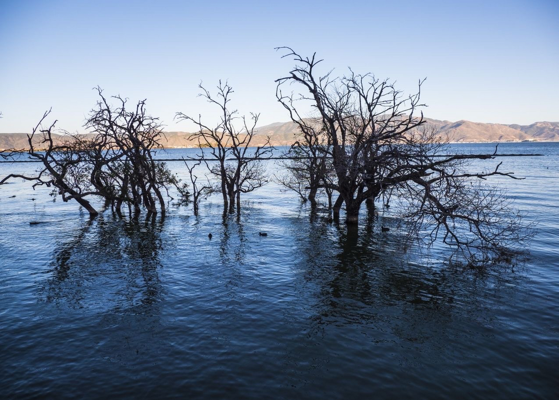 小普陀岛周长只有200多米,全由石灰岩构成.