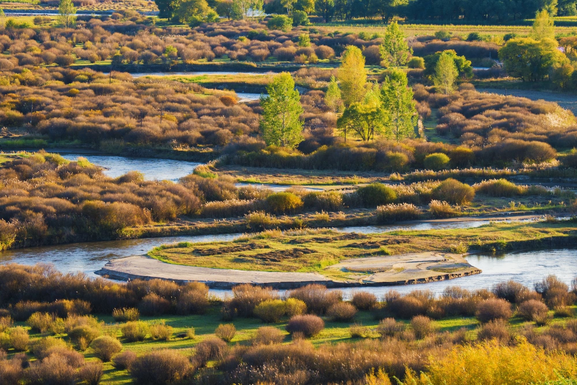 西拉木伦河的秋色