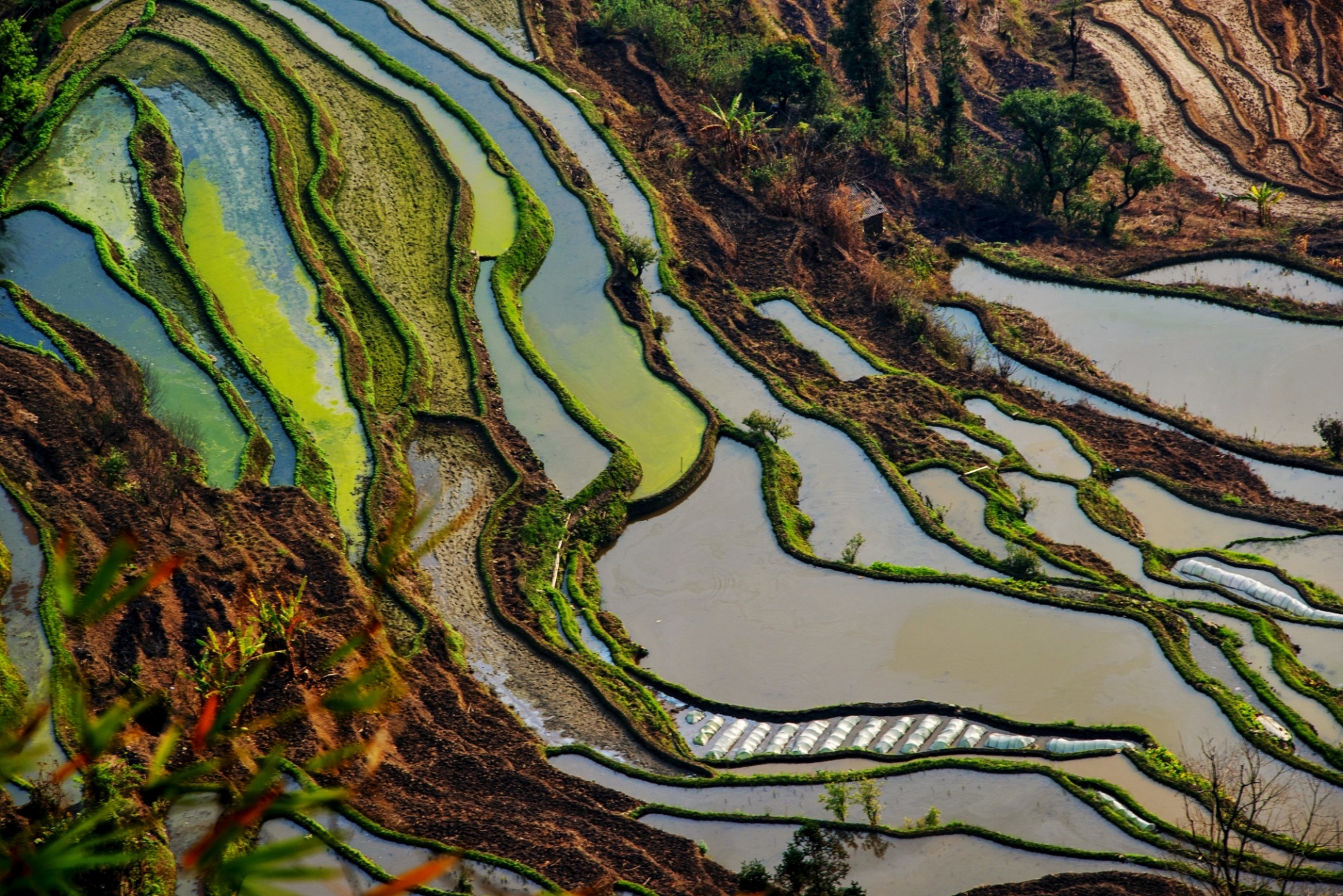 红河州哈呢元阳梯田,位于云南省红河州元阳县的哀牢山南部,是哈尼族人