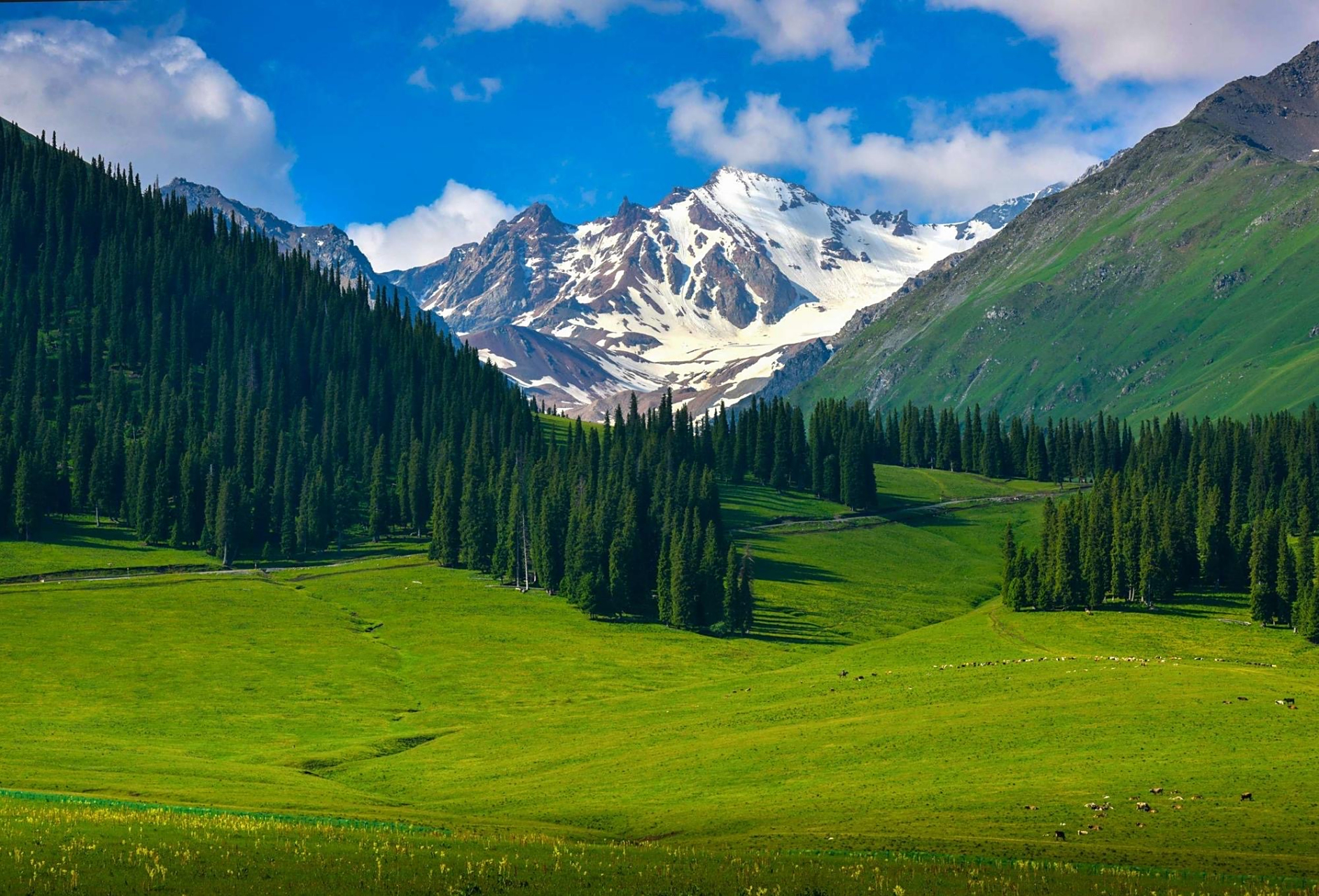 唐布拉草原位于新疆维吾尔自治区伊犁地区尼勒克县境内东部,自尼勒克