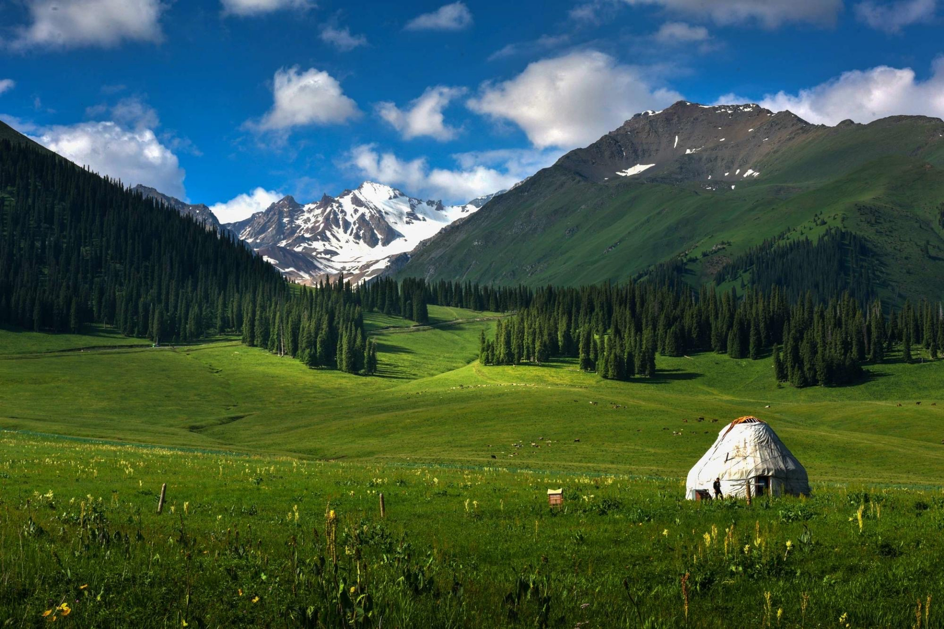 唐布拉草原位于新疆维吾尔自治区伊犁地区尼勒克县境内东部,自尼勒克