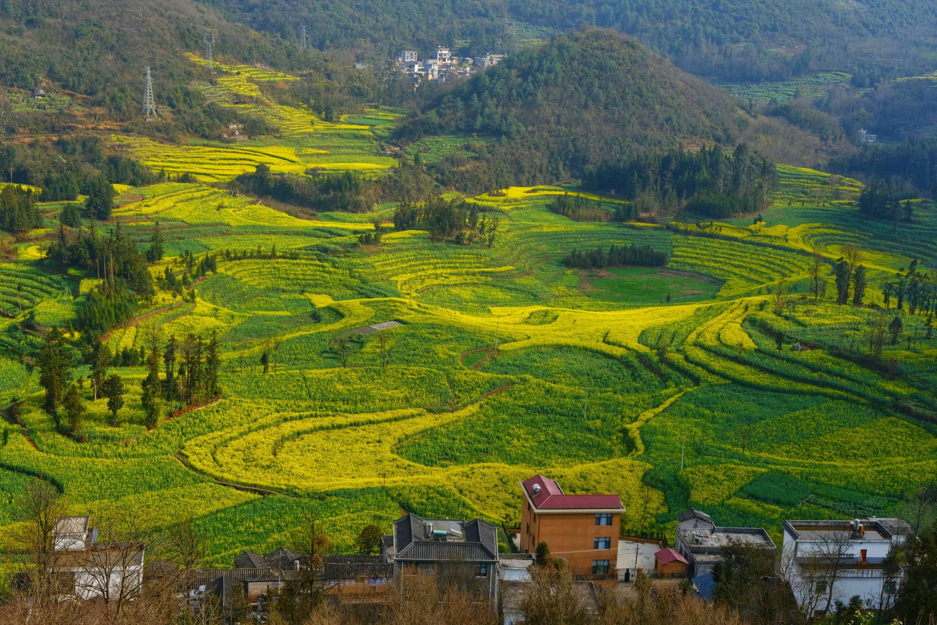 多依树梯田景区位于元阳梯田国家湿地公园及申报世界文化遗产核心区