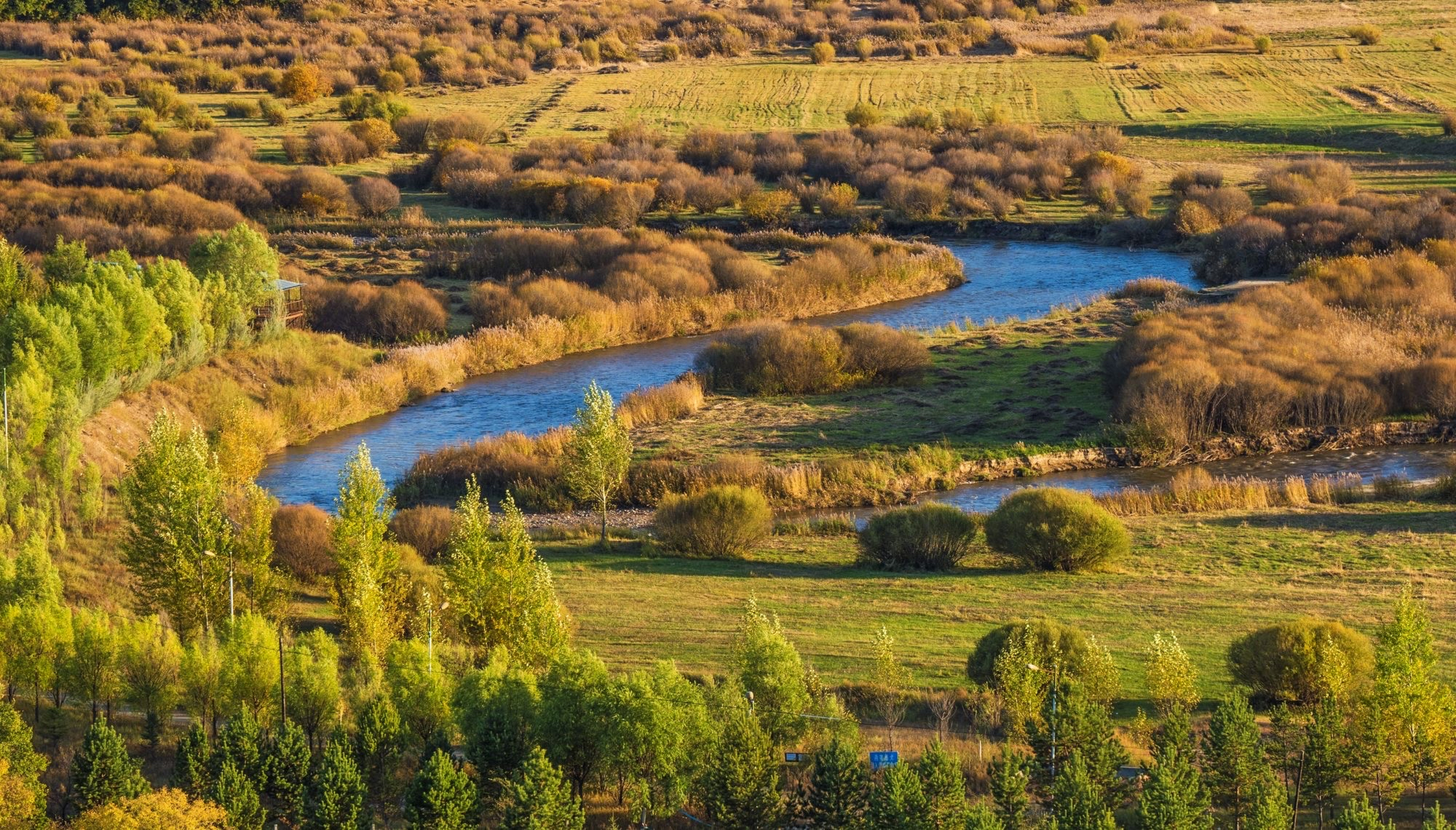 西拉木伦河的秋色