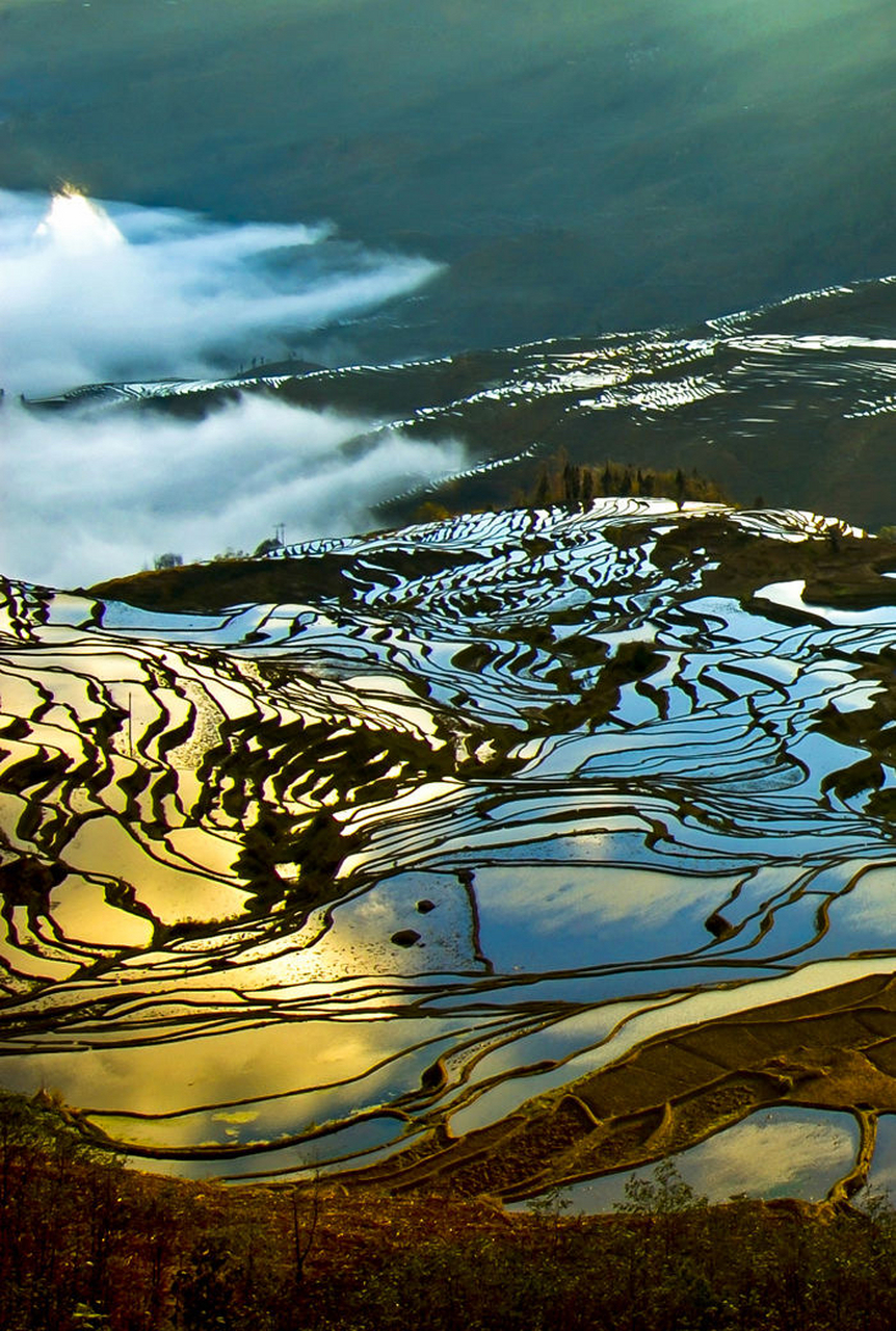 红河哈尼梯田是以哈尼族为主的各族人民利用特殊地理气候同垦共创的