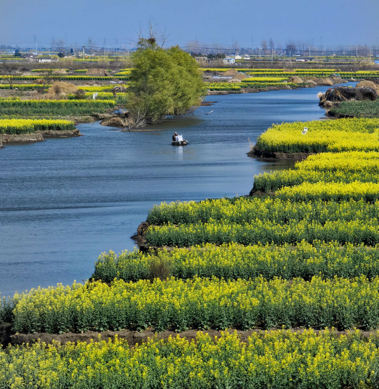 千垛油菜花景区位于江苏泰州兴化市,以千岛样式形成的垛田景观享誉于