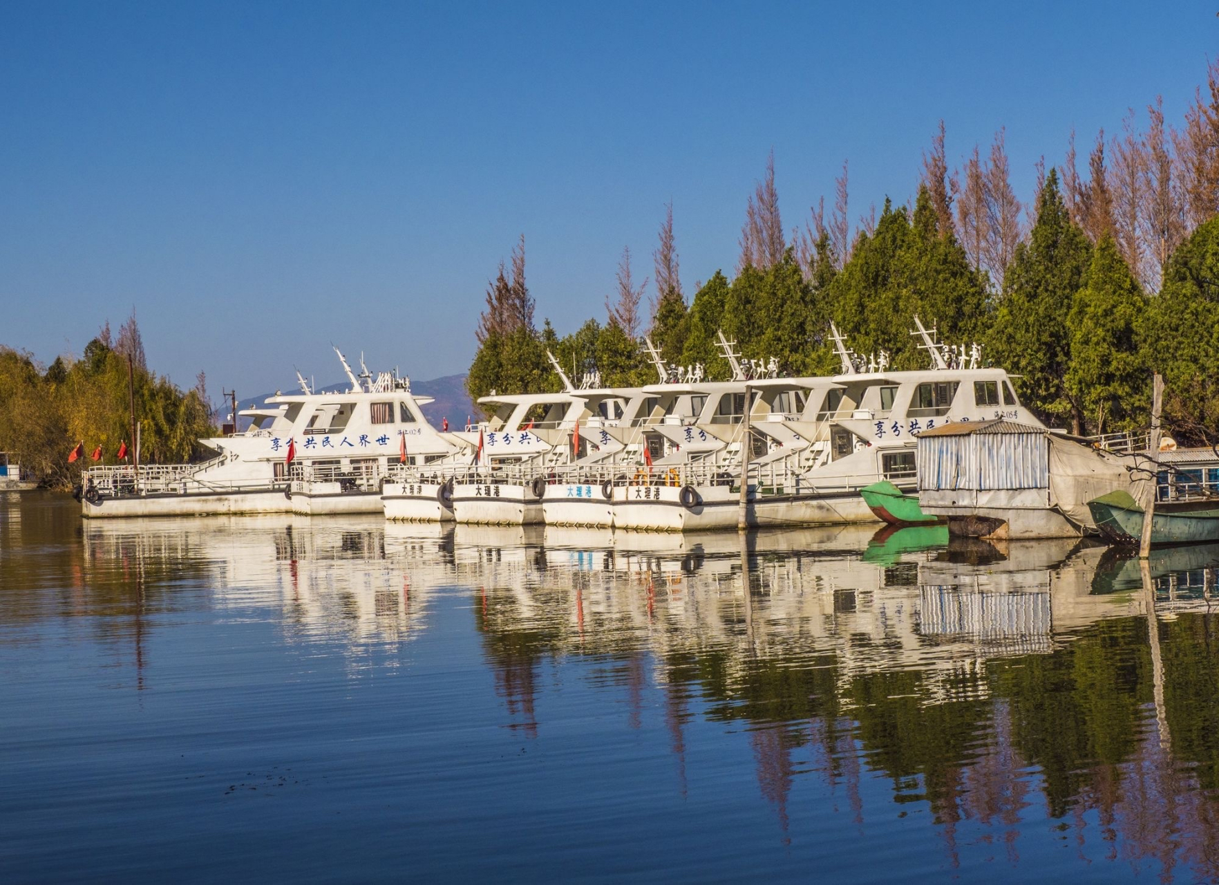 才村 才村地处云南省大理市大理镇的大理古城东边,位于洱海西岸,辖区