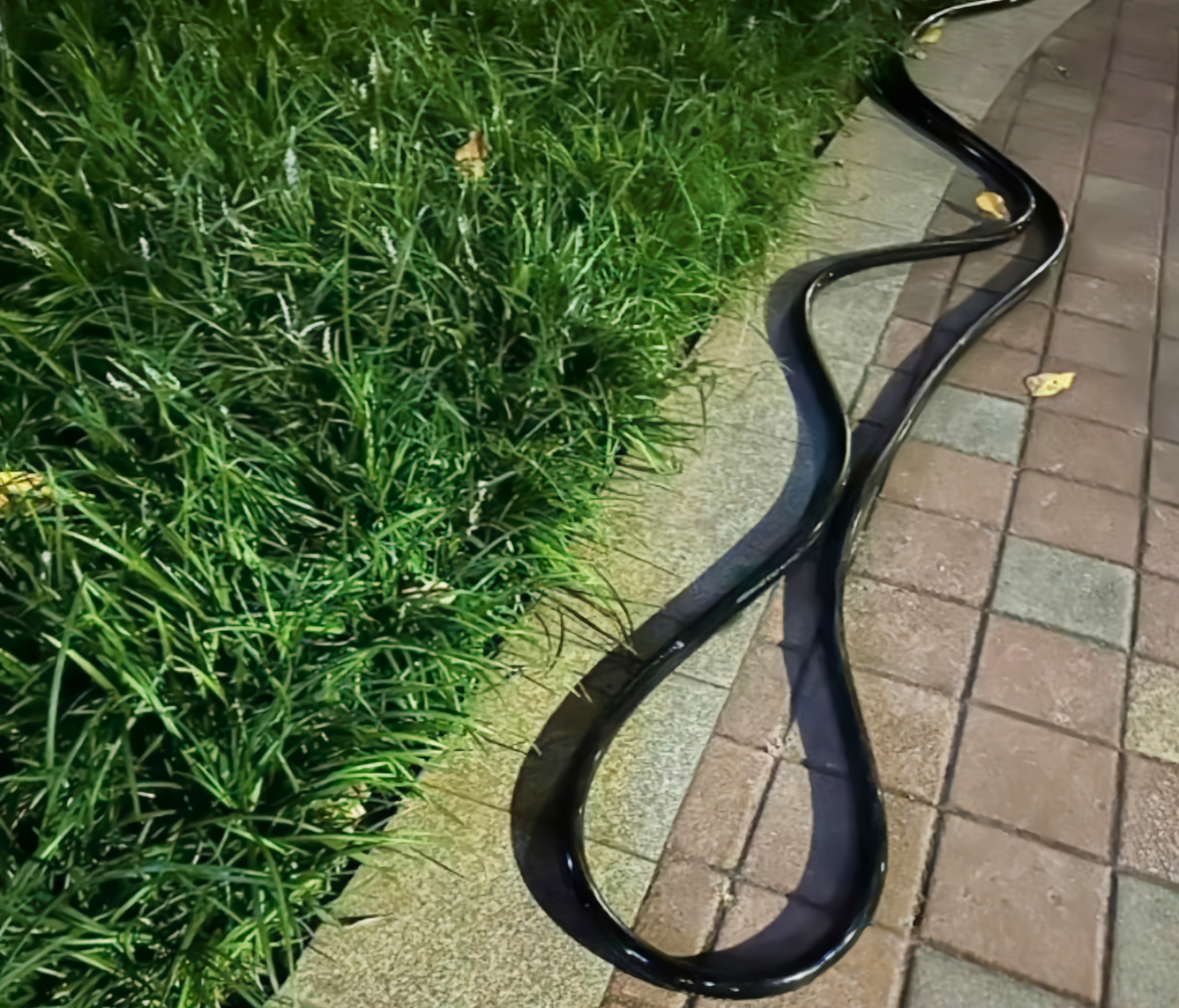 正好今天没上班,晚上出来夜跑时,发现了这一幕,魂都差点倍吓出来了,愣